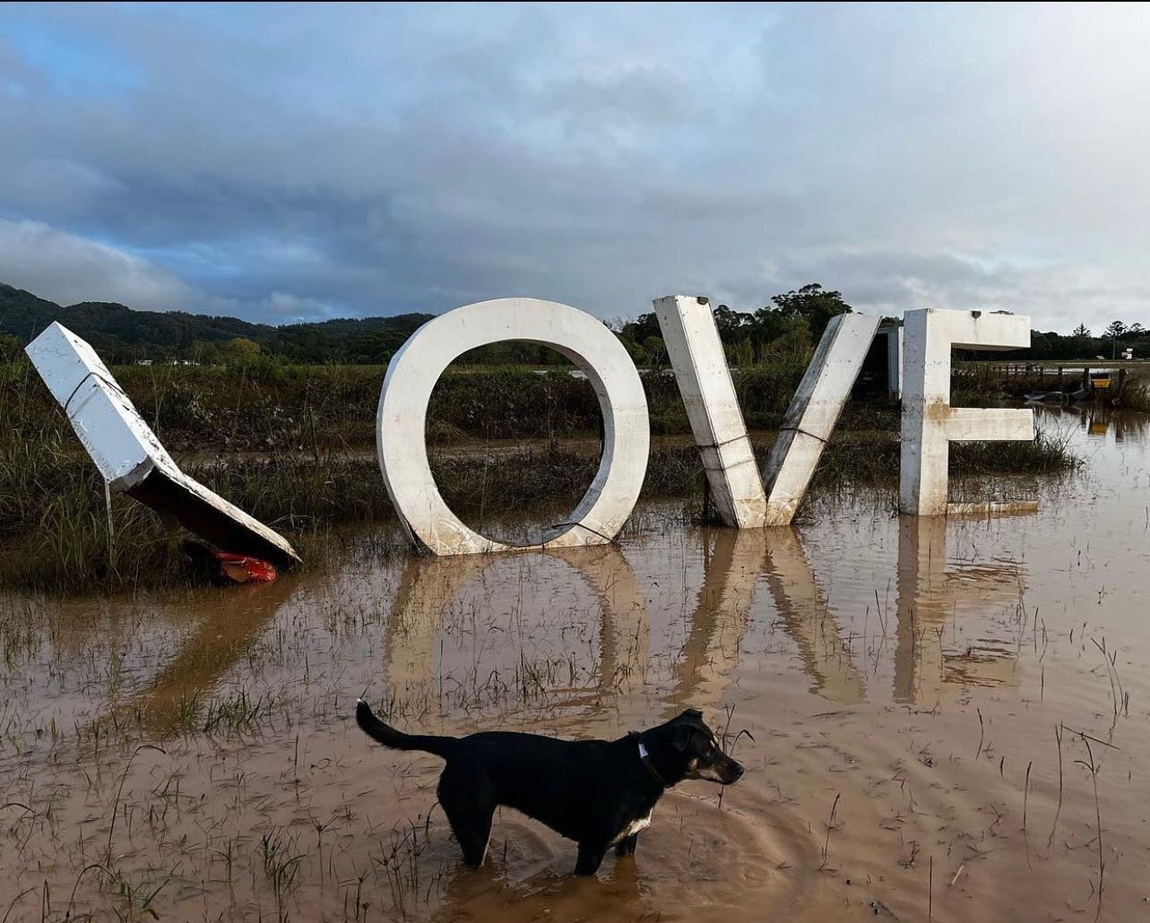 And love is still standing. 🙌🏾🧡💪🏾

Our northern rivers region was deeply affected by a large flood last week for those who do not know. At this stage, I don't have many words left to describe what has happened except that it is heartbreaking and