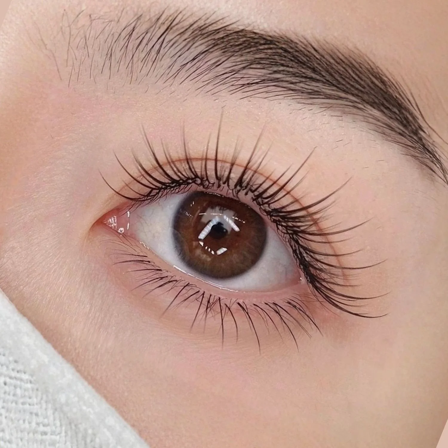 Close-up of One of the Lash styles at Pocobeauty - Singapore's lash studio with highest lash retention rates.