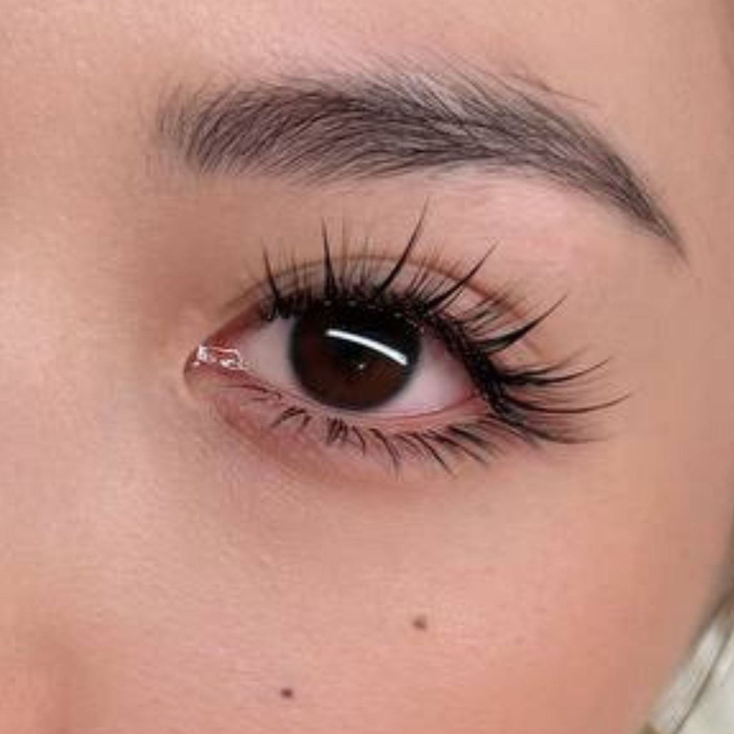 Close-up of One of the Lash styles at Pocobeauty - Singapore's lash studio with highest lash retention rates.
