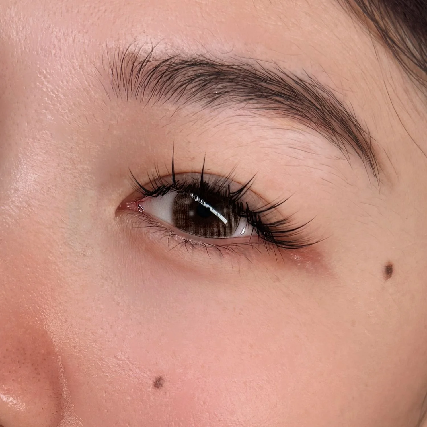 Close-up of One of the Lash styles at Pocobeauty - Singapore's lash studio with highest lash retention rates.