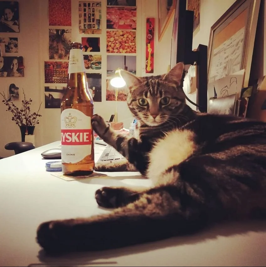 Cat and Beer.JPG