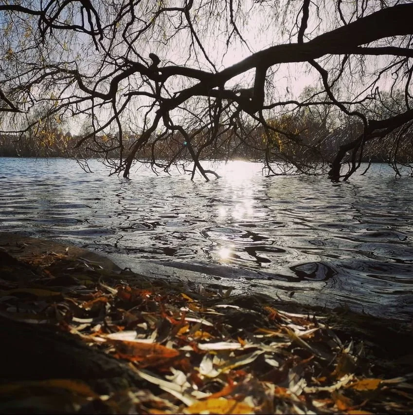 Regents Park Reflections.JPG