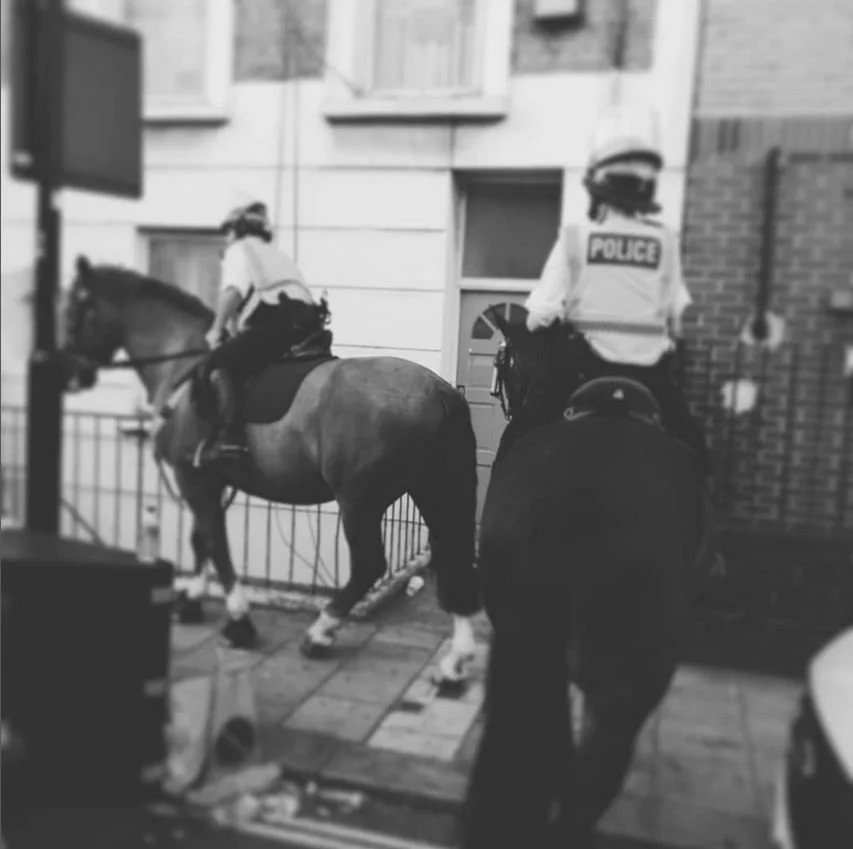 Police Horses Carnival.JPG