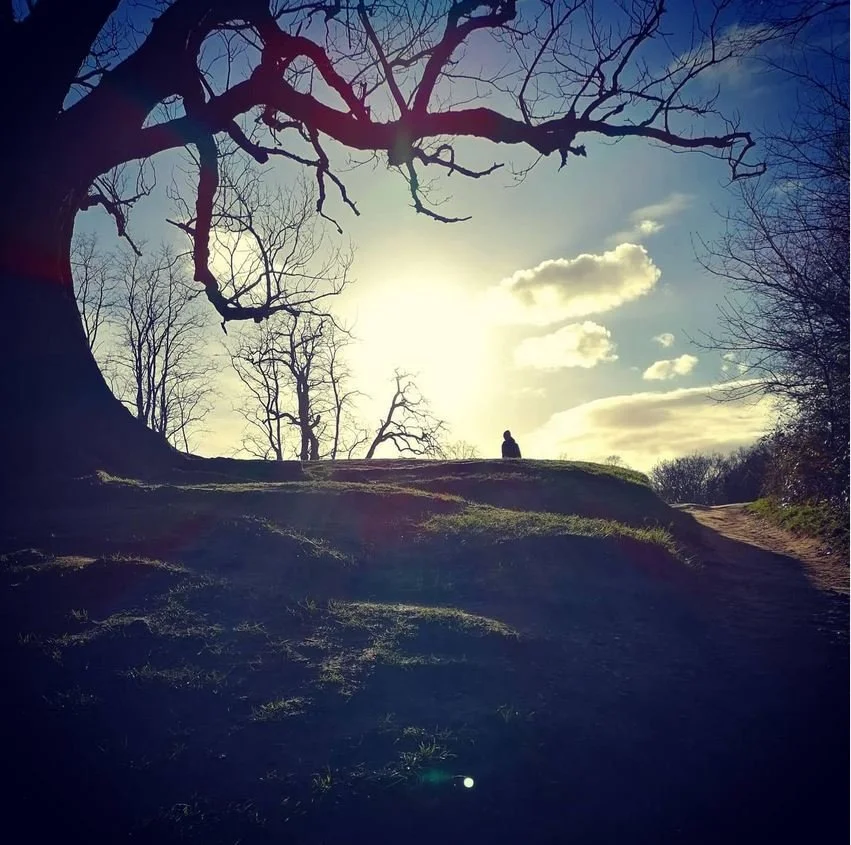 Magic Mists - Hampstead Heath.JPG