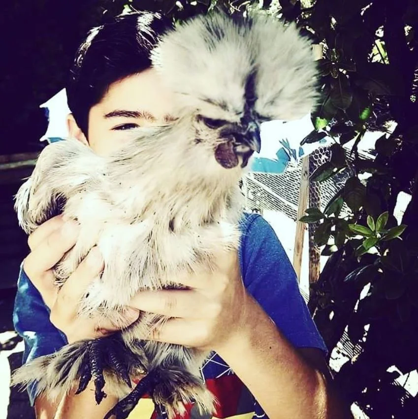 Boy and Chicken in Monchique.JPG