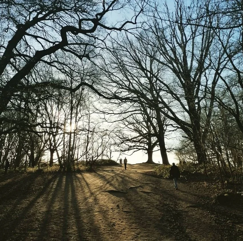 Shadows on the Hill - Hampstead Heath.JPG