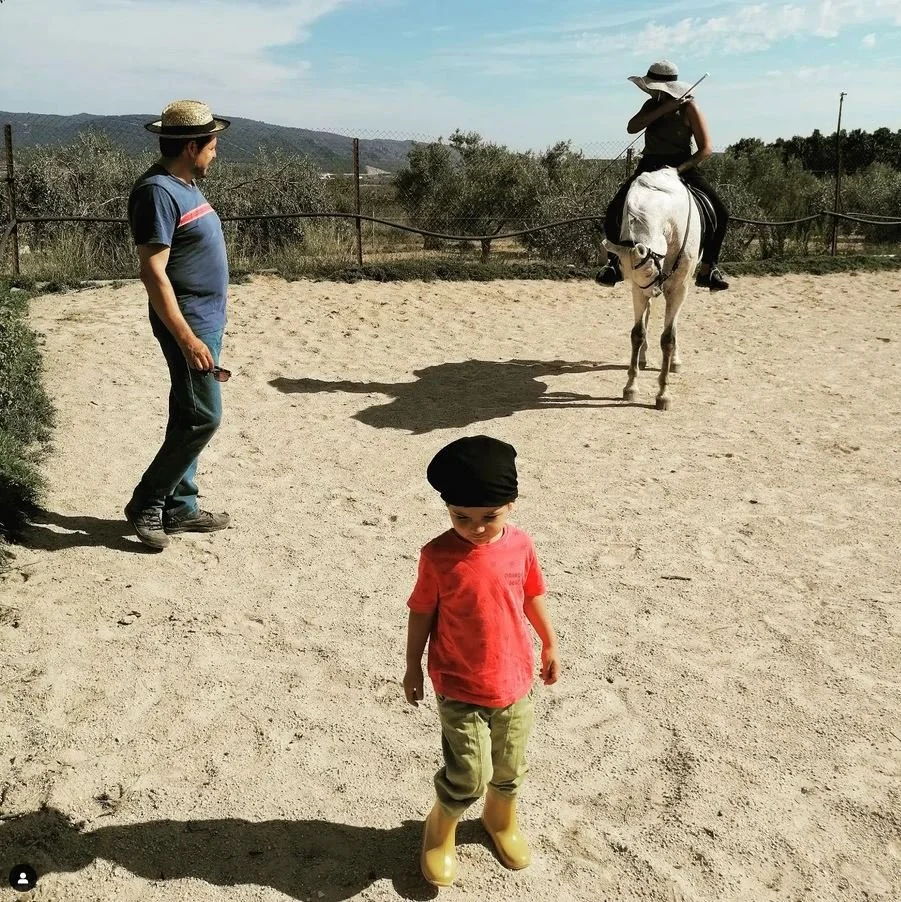 Scenes from a Daliscape.JPG