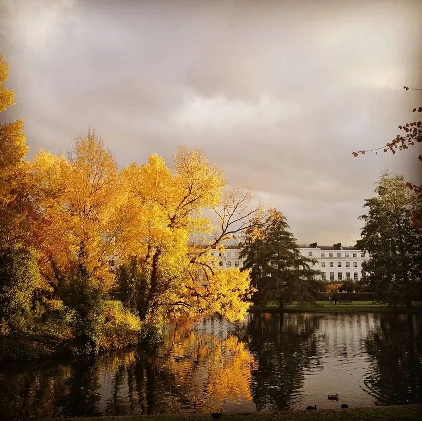 Autum Tree - Regents Park.JPG