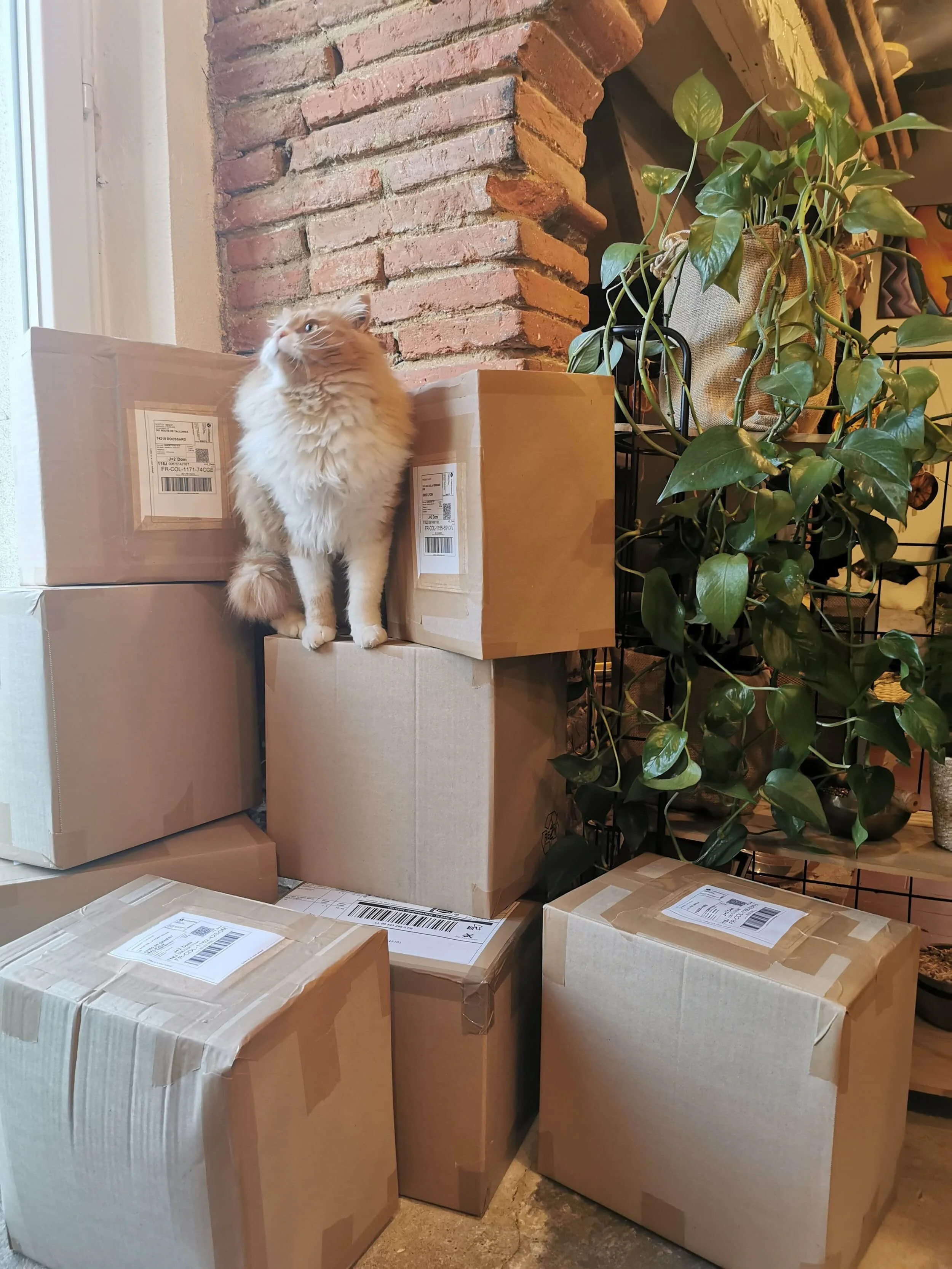 Les commandes sont préparées avec soin dans mon atelier en Occitanie avant leur expédition. Mon fidèle assistant à quatre pattes veille toujours sur les colis !