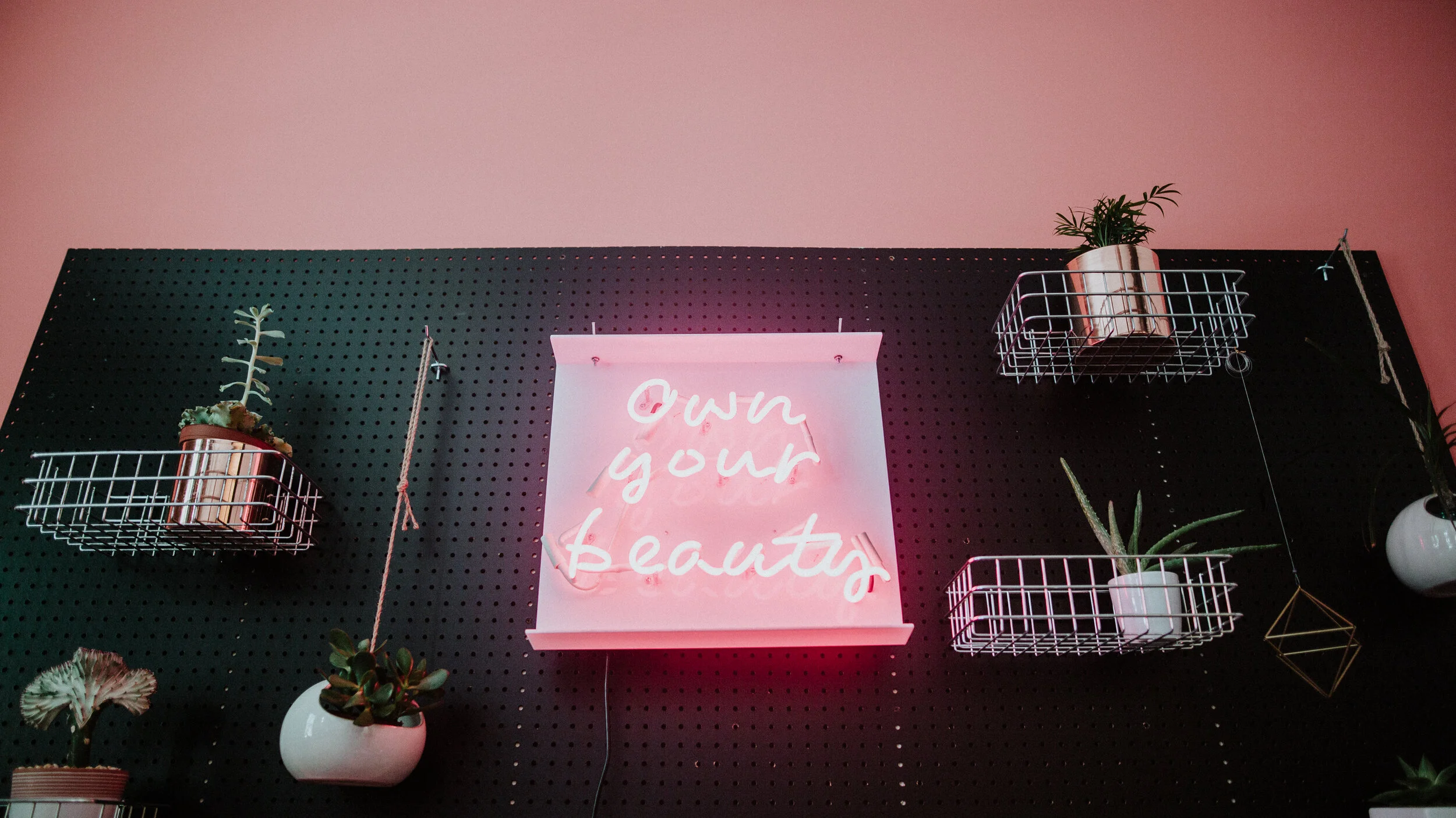 elate fall 201805.jpg