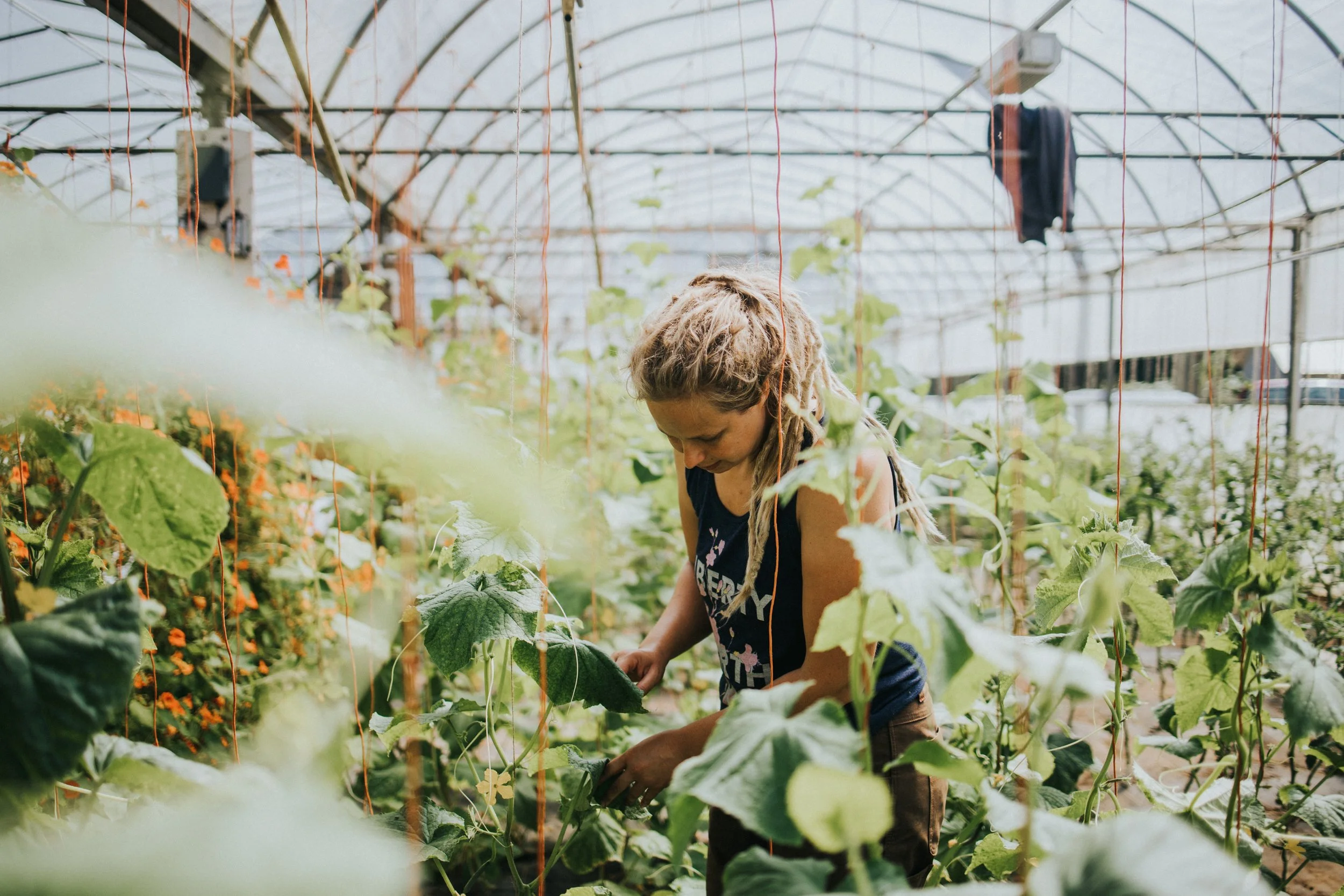 Food, Farming & Agriculture