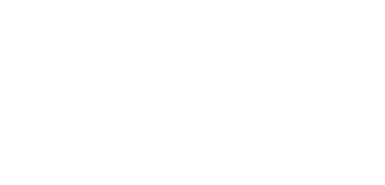 The Disruptors Agency