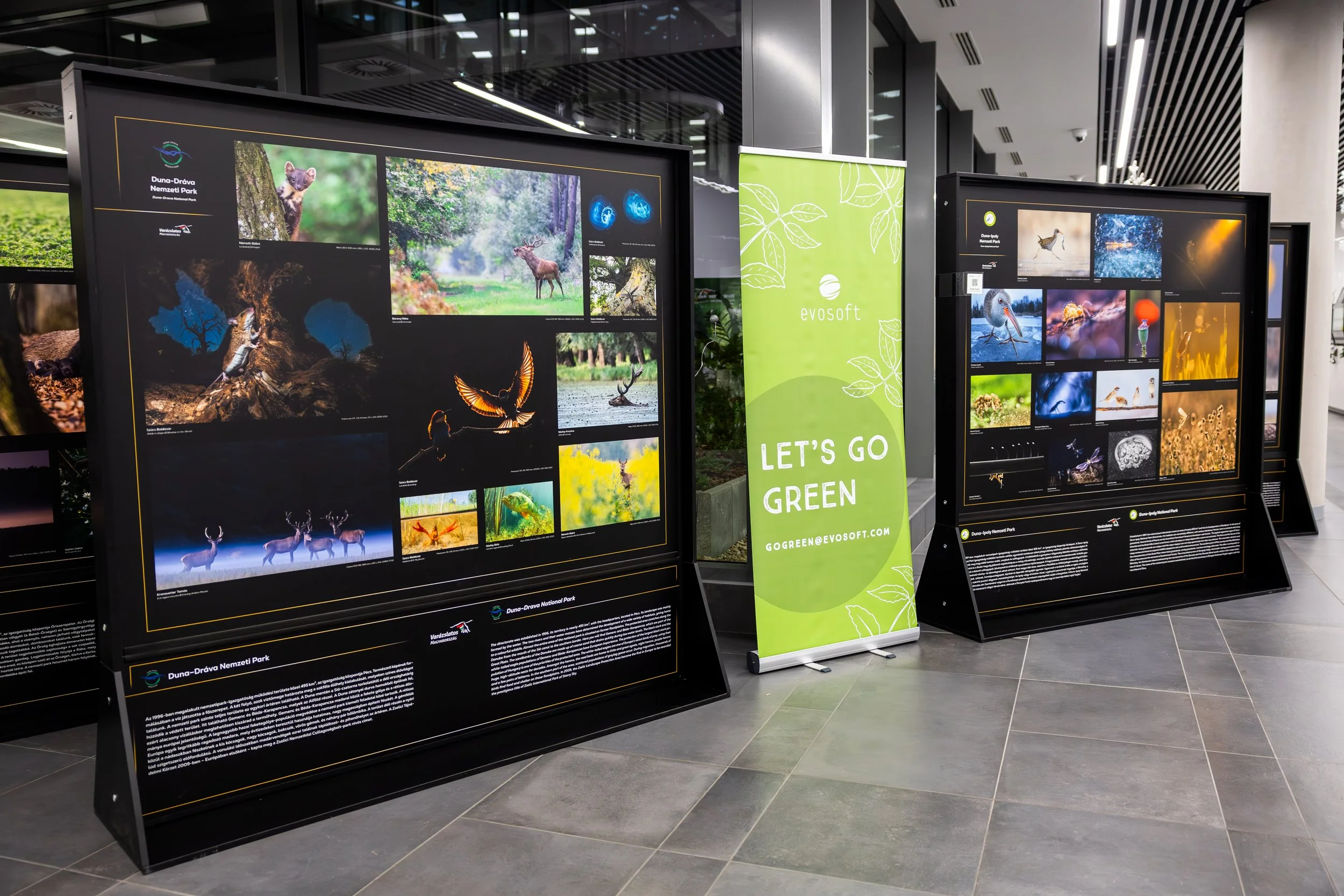 KJ_evoGreen_CsoMa_print_20251211-4827.jpg