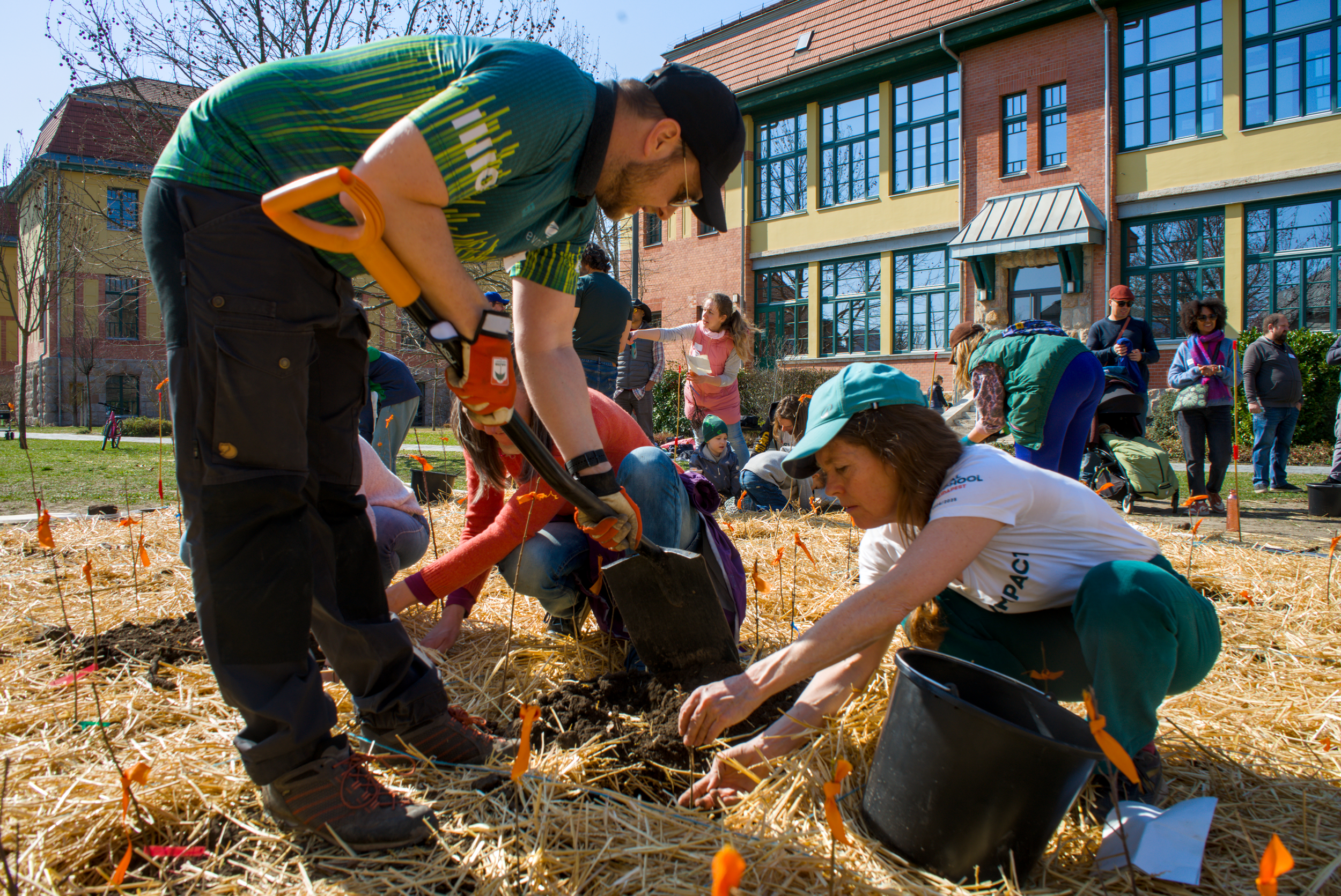 Our heart, our life – this is our new Miyawaki forest 🌱🌍🫶