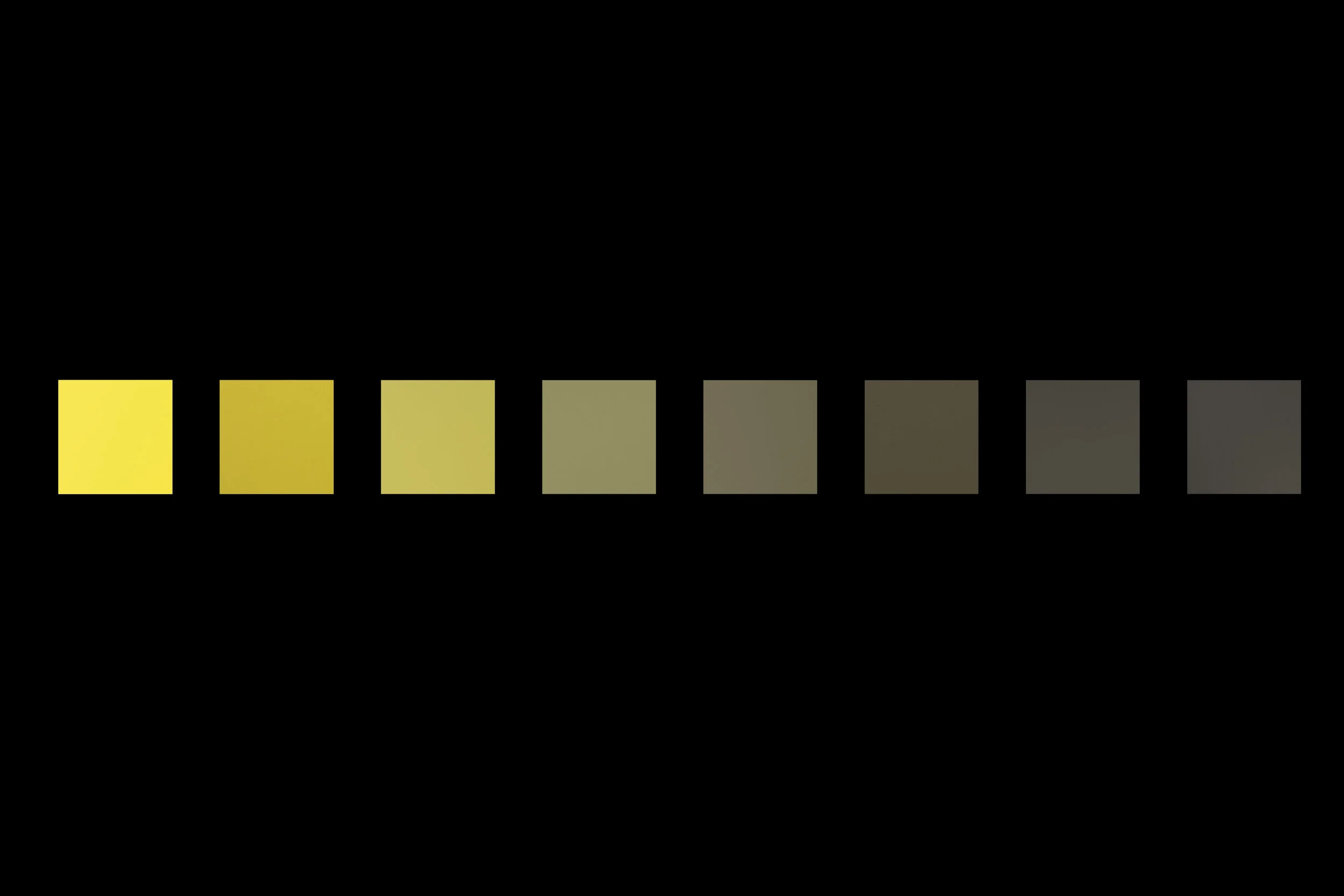 Color Studies — David Andree