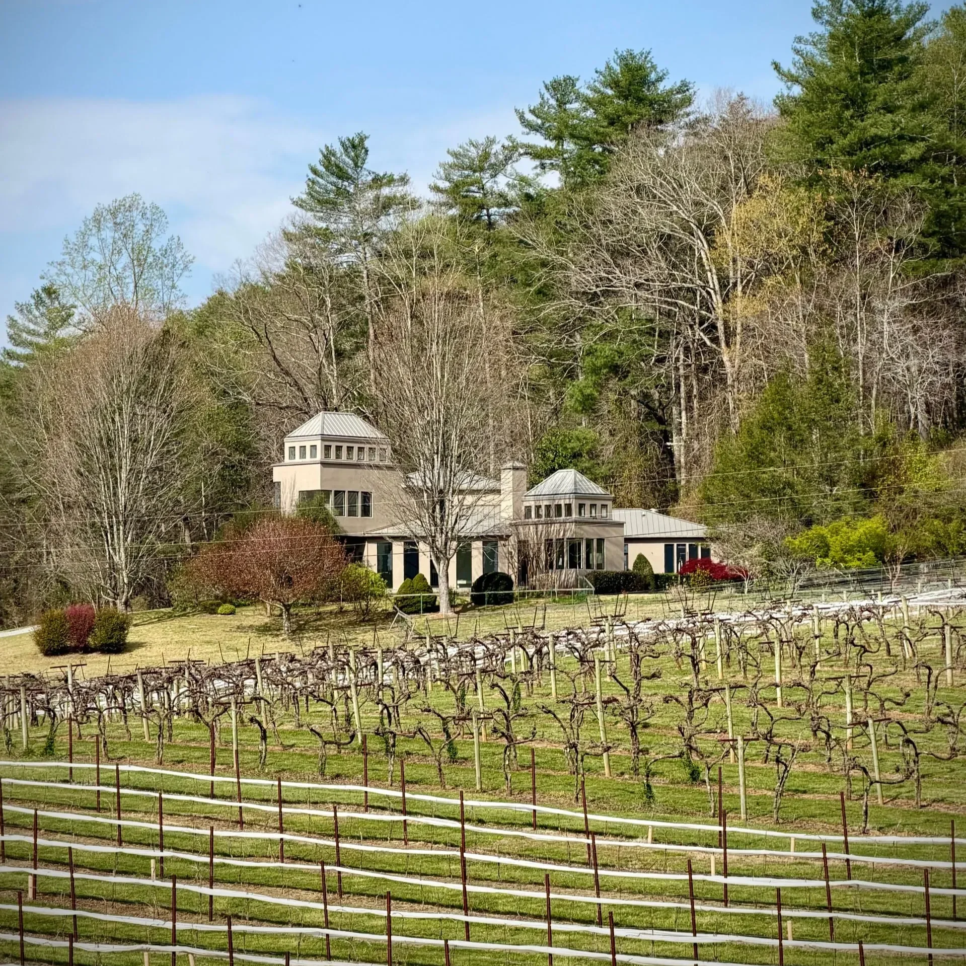 Wine tasting: Tiger Mountain