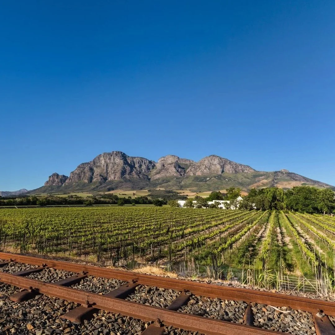 Wine Tasting: Babalonstoren, South Africa