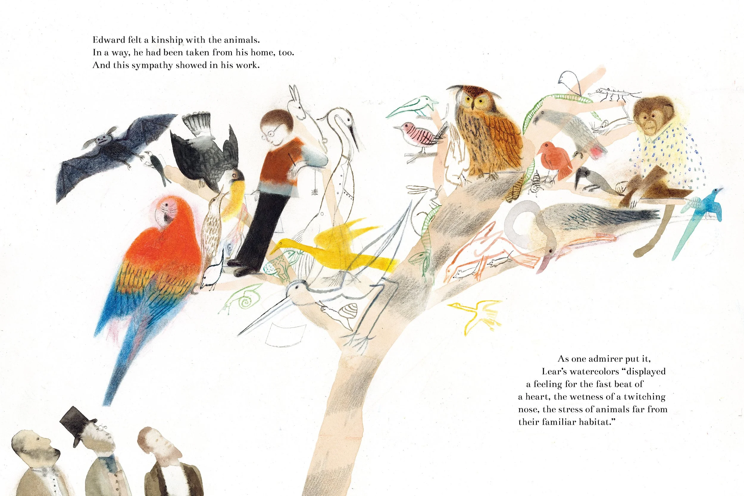 The Boy Who Became a Parrot_int_300dpi_3.jpg
