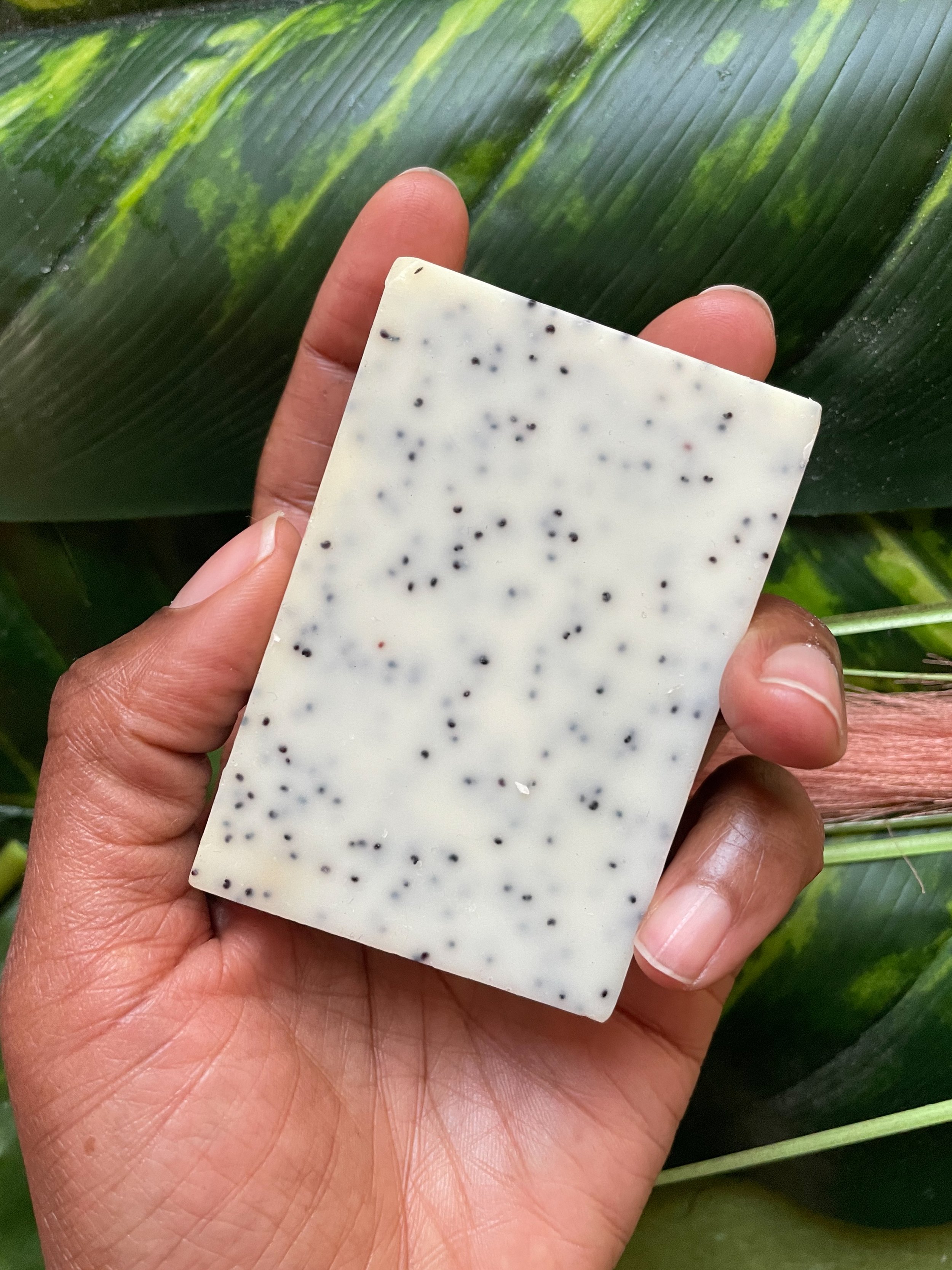 Body bar lemongrass poppyseed in hand 2.jpg