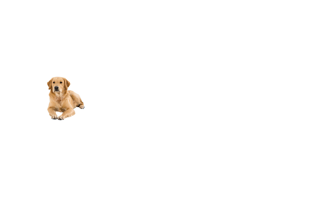 david-wilson-homes.png