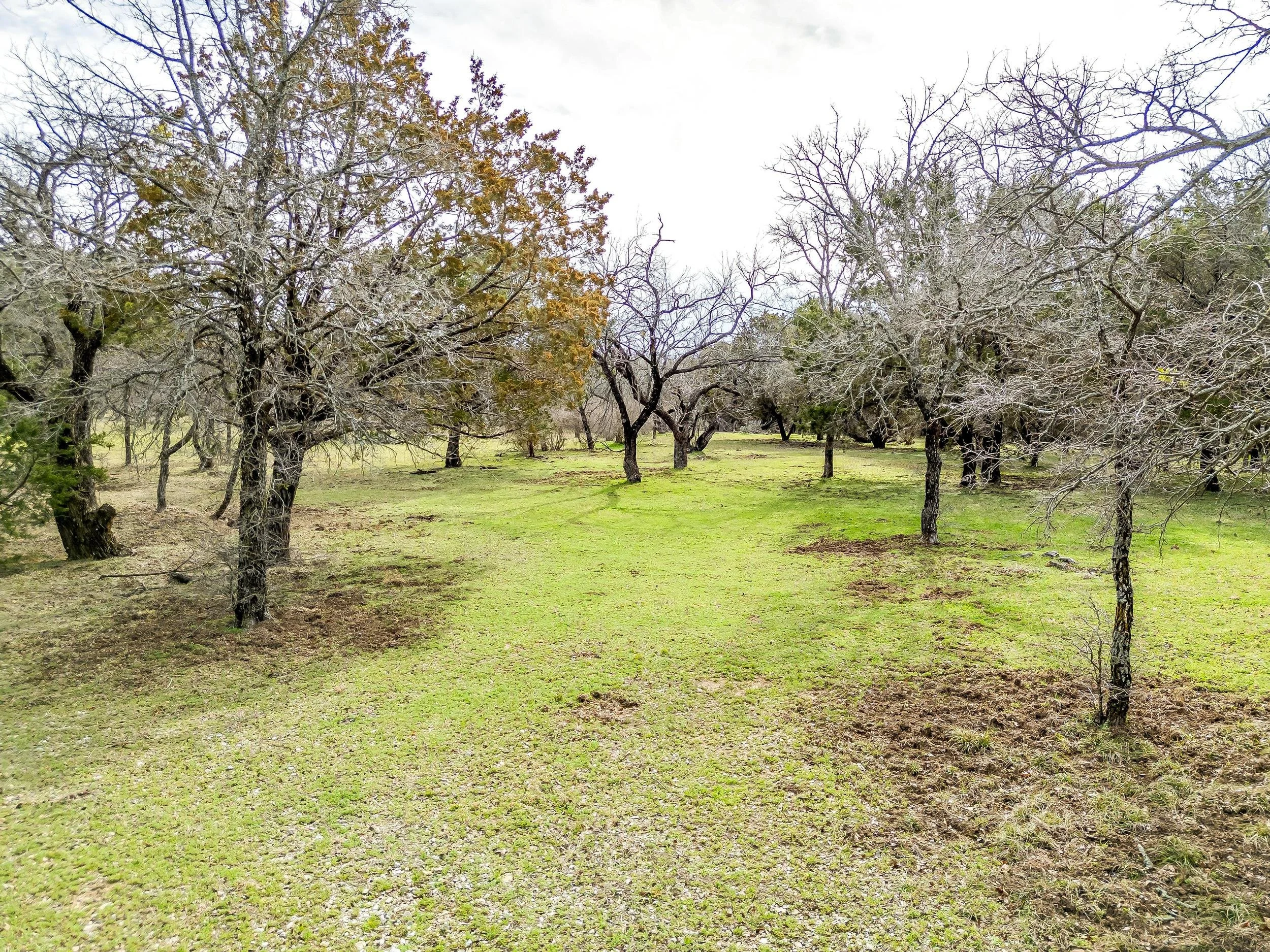 Lot 2 Block A Arts Way  (16 of 18).jpg