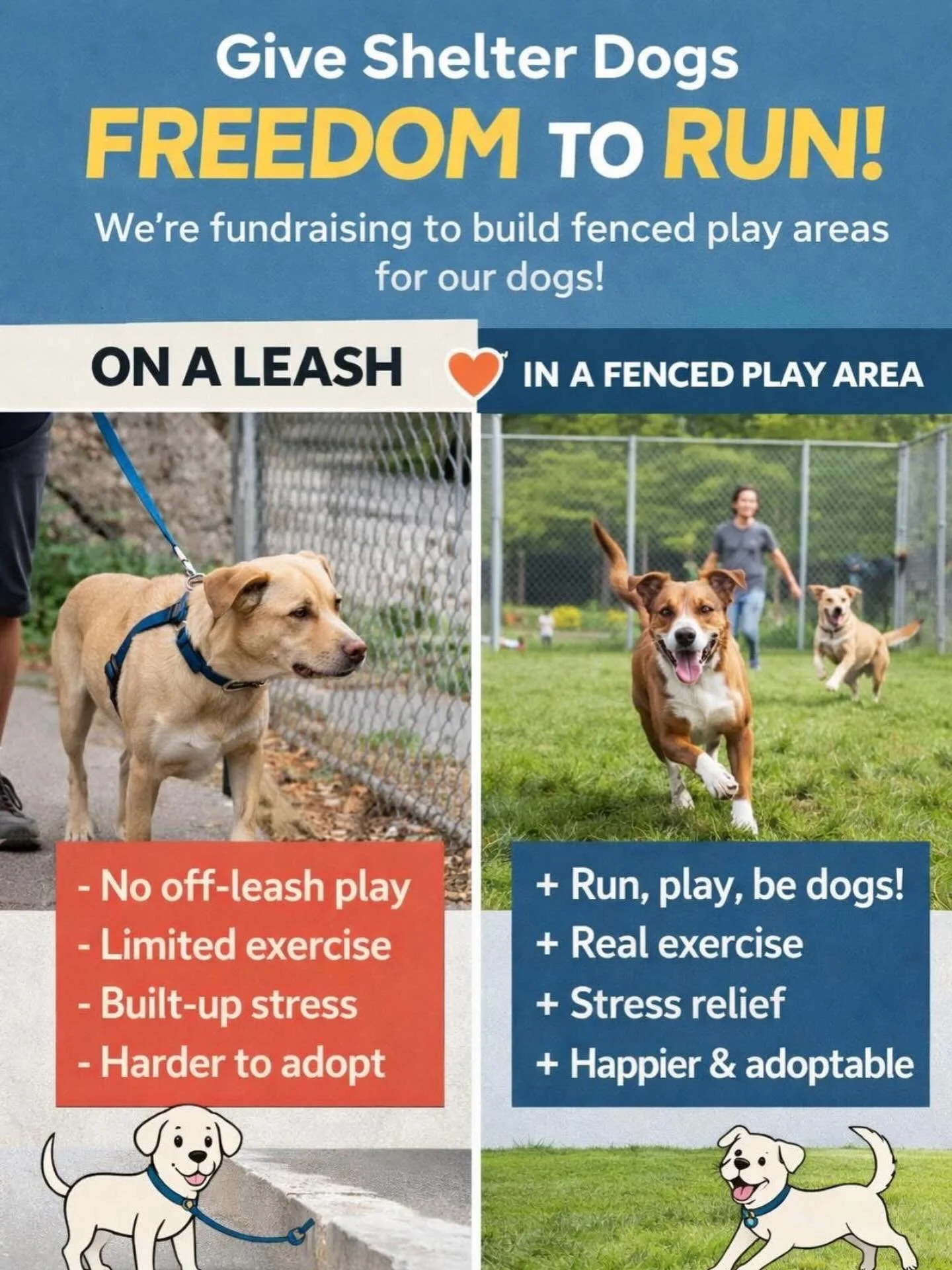 We average 75 dogs a day.

Even when walked, every one of them is still on a leash.

Leash walks are important &mdash; but fenced play areas give dogs something more: freedom, exercise, and stress relief.

We&rsquo;re fundraising to build fenced area