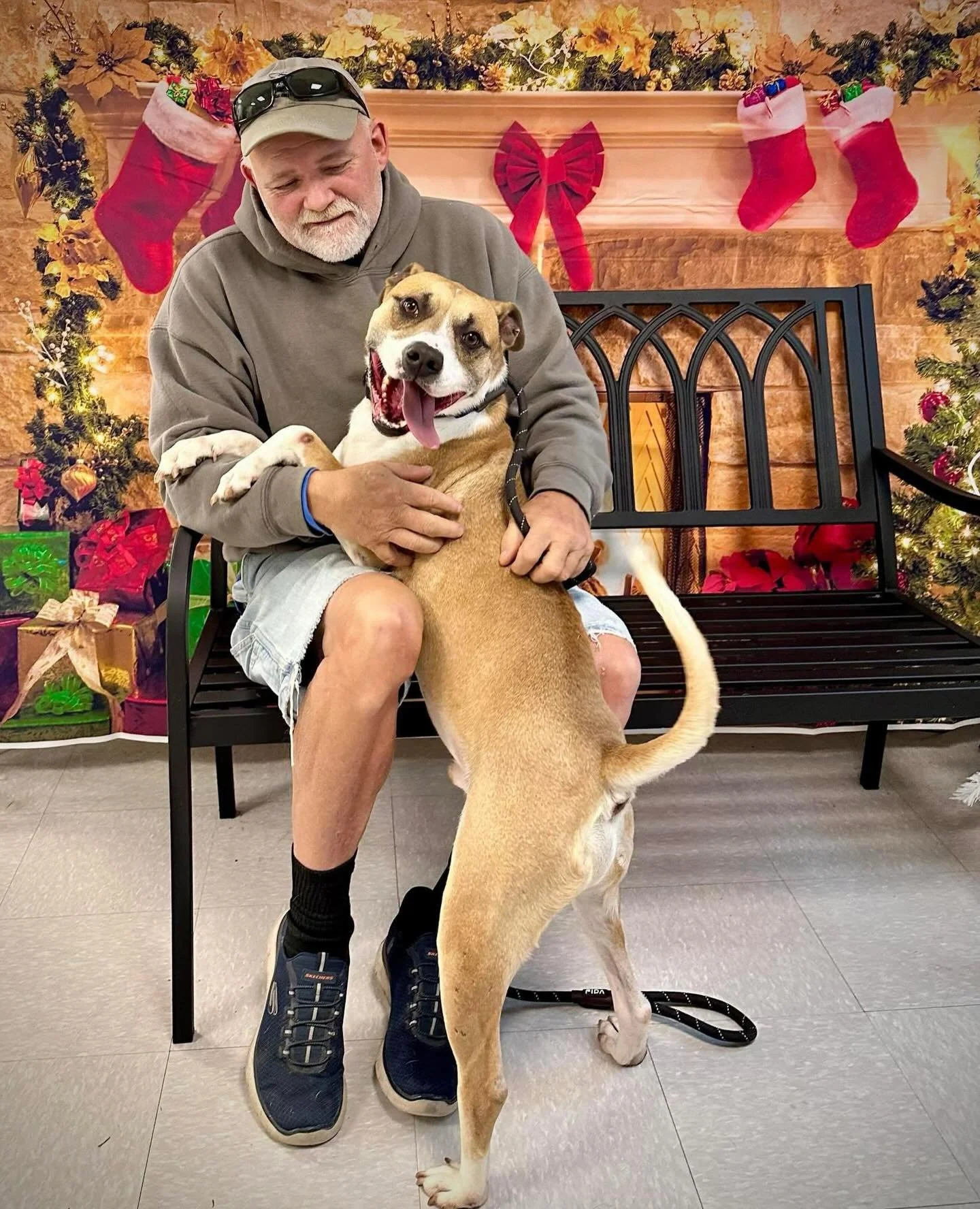 Meatloaf was one of our longest residents at the shelter! He has been at the shelter since this summer but NOW he gets to spend the holidays in his forever home!!!!! He has been adopted 💕💕
