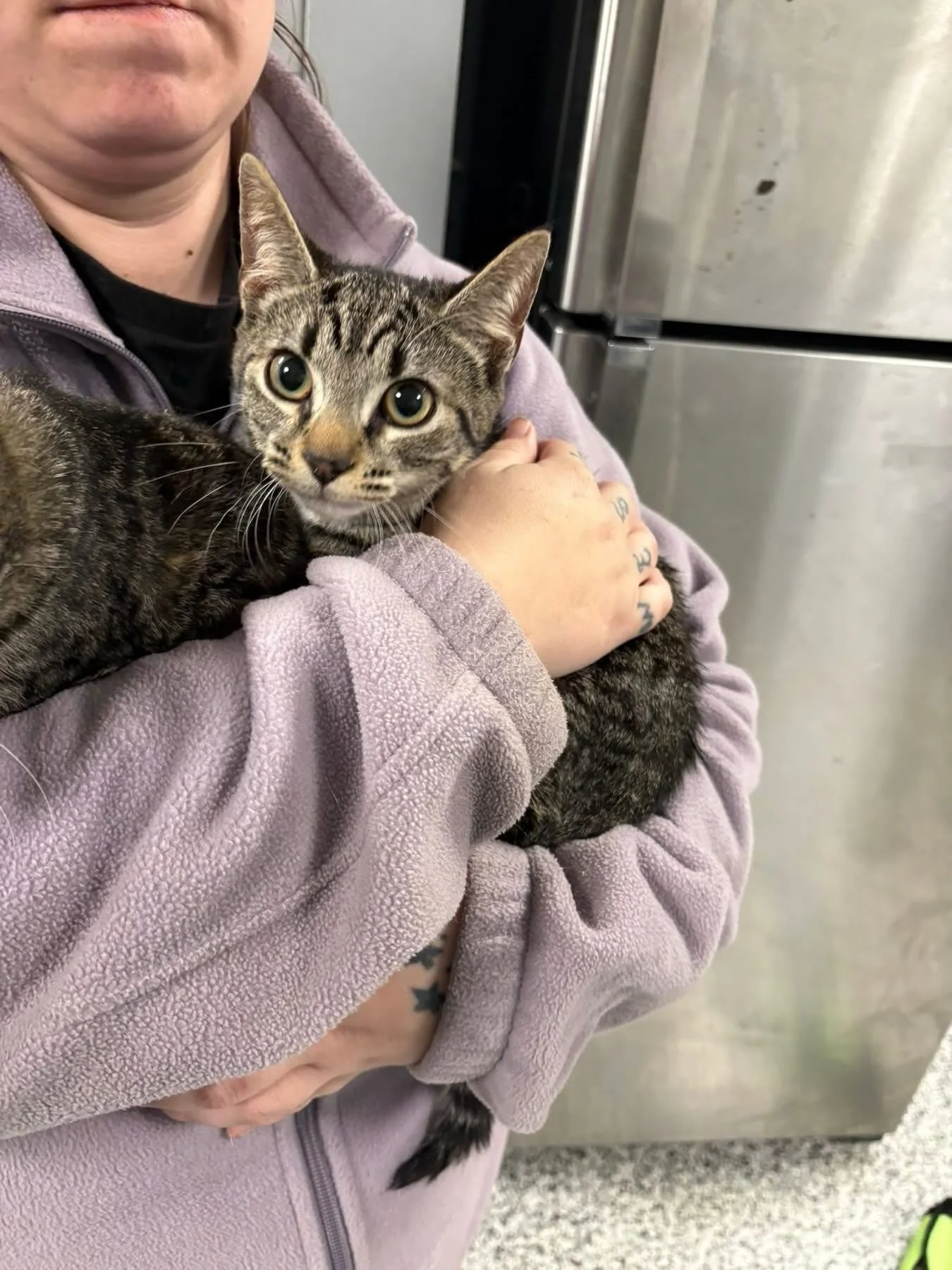 Do you know us?!?! Also believed to have been dumped on Hwy 258 N at the entrance to the shelter. All friendly and all hanging around the dog suspected of being dumped. 
We just had a huge influx of animals dumped and brought to us. Any donations wou