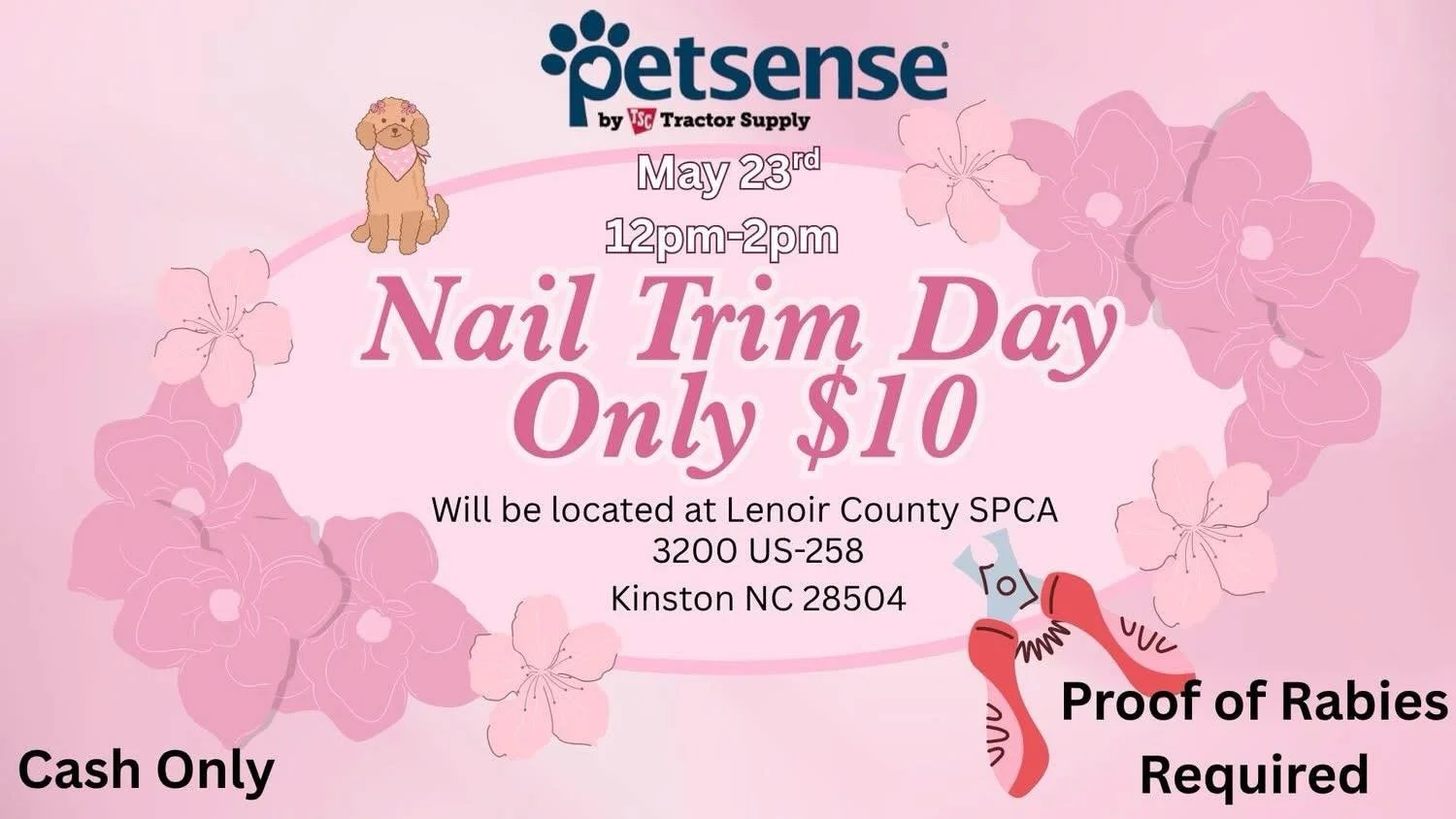 Have a dog that needs their nails trimmed?!?! Come by the shelter with your pup and proof of rabies and have a professional do it for only $10!  Petsense Kinston While you are here, come see the wonderful babies we have for adoption!