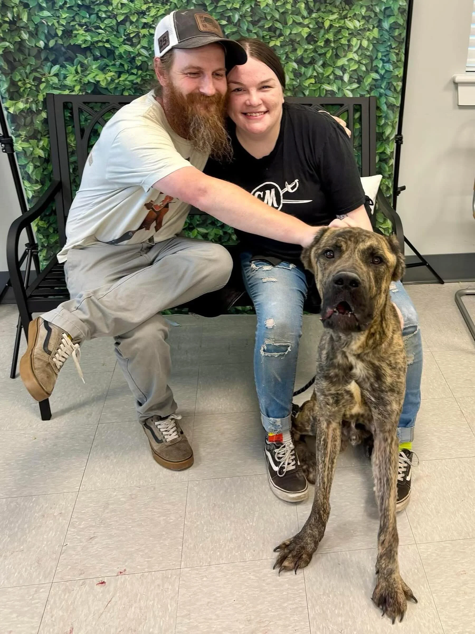 Our sweet Wrangler has left for foster through Misplaced Mutts!!! He has gained 7 lbs since his arrival and his wounds are healing well, but he still has a long road ahead him!  Teamwork makes dream work and we are so happy to be working with the Mut