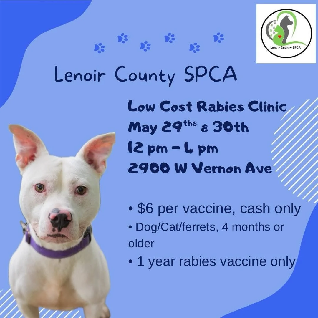 Low cost drive through rabies clinic on May 29th and 30th at Second Chances Lenoir County SPCA Thrift Shop from 12 pm - 4 pm!  Dogs, cats or ferrets must be at least 4 months old. $6 cash only.