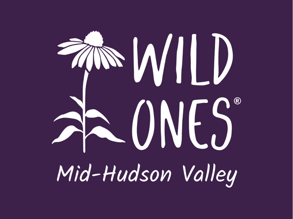 WildOnesHV.png