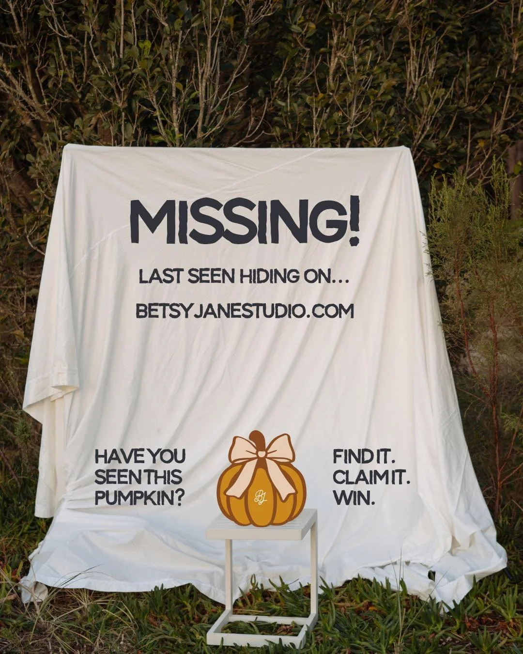 MISSING: One very sneaky pumpkin.

Our little pumpkin has gone into hiding somewhere on BetsyJaneStudio.com, and we need YOUR help finding him! 

Here&rsquo;s how it works:

- Head to BetsyJaneStudio.com 
- Search the website for the hidden pumpkin 
