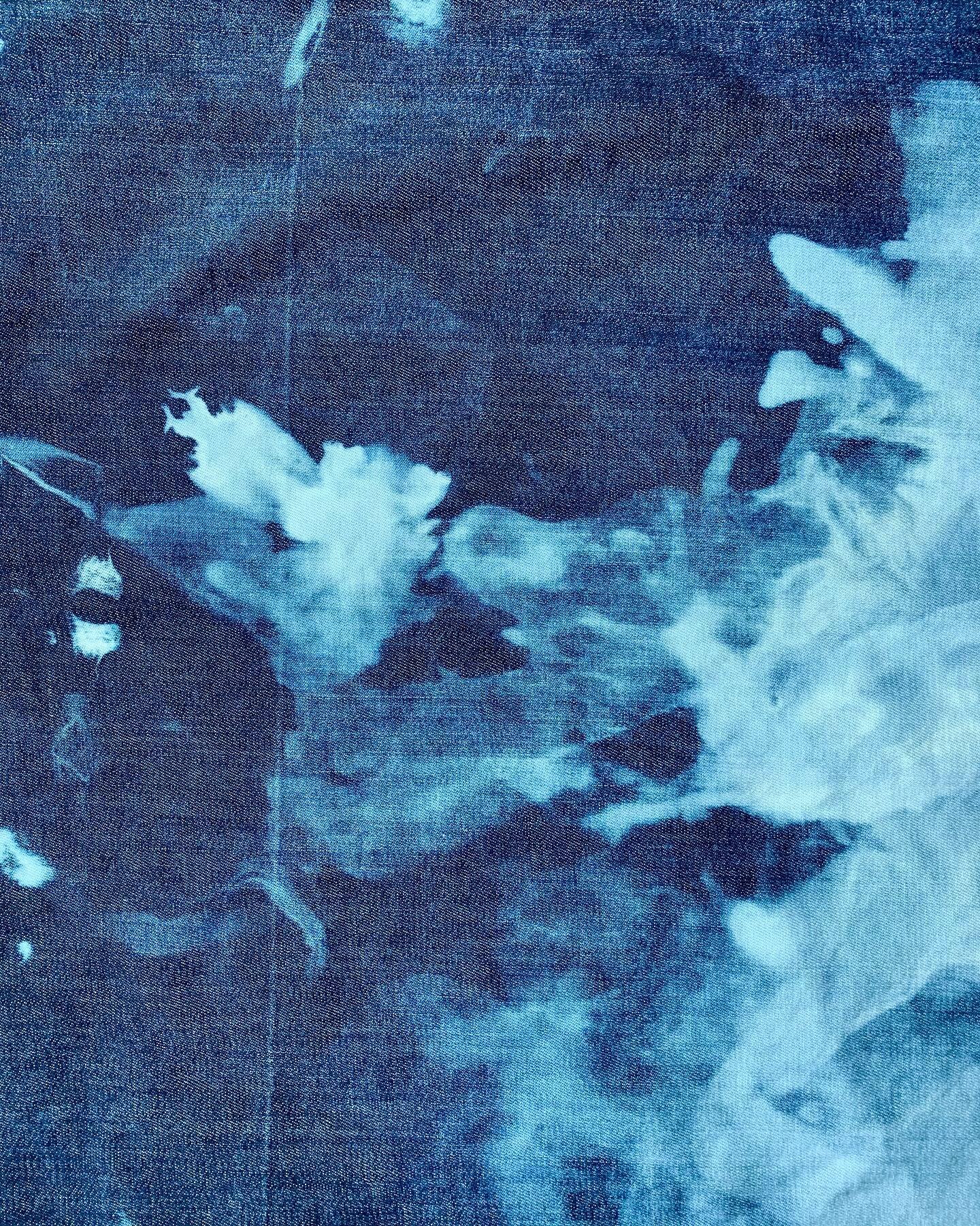 bleach study &bull; 3