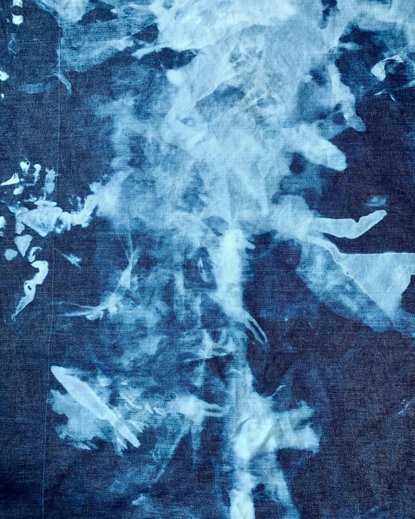 bleach study &bull; 1