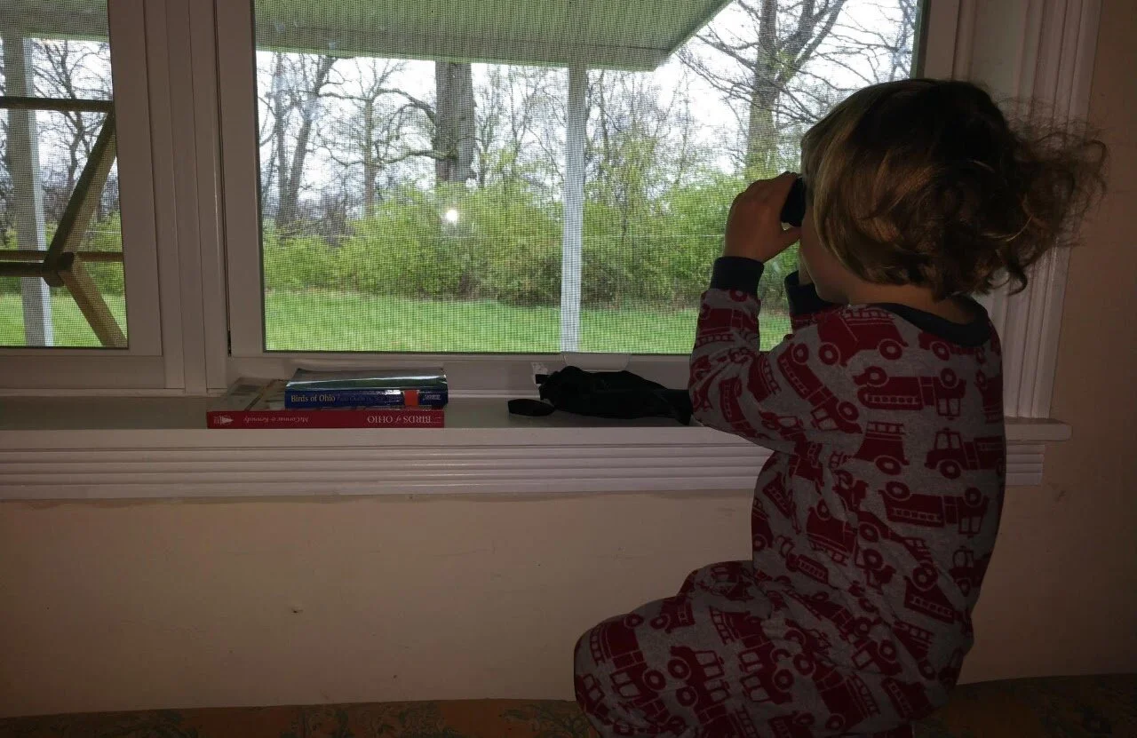Birdwatching