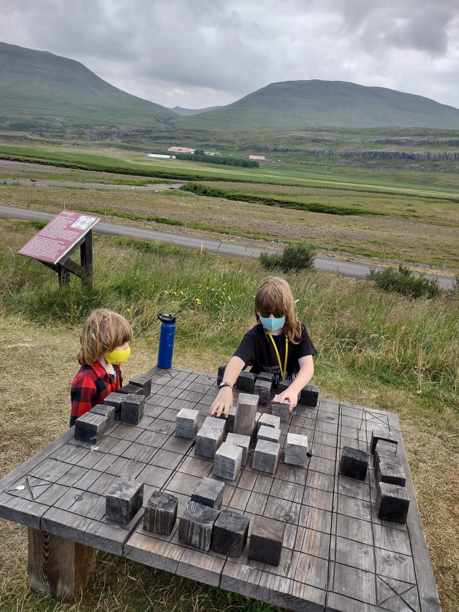 Viking game (Hnefatafl)