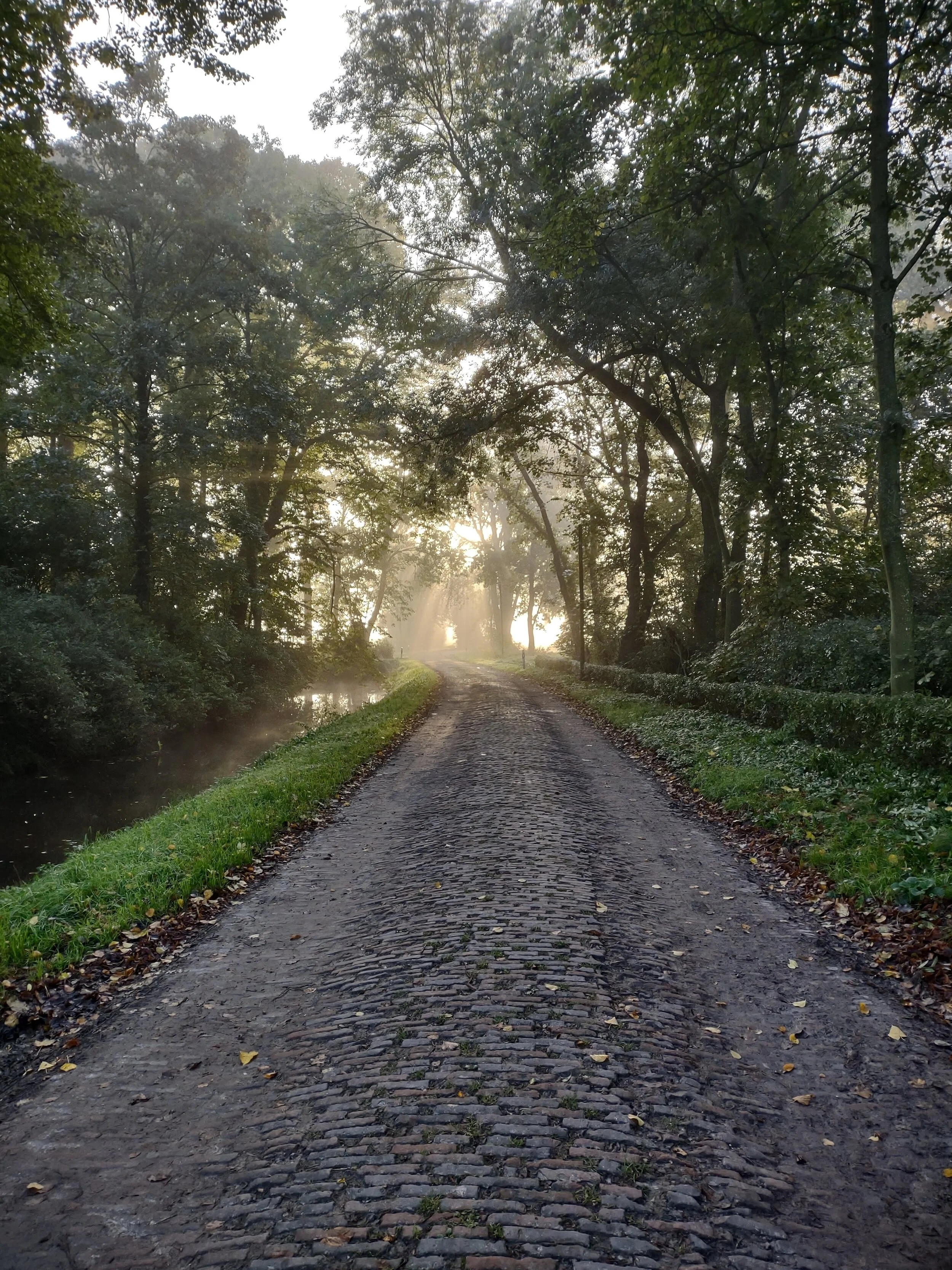 unnamed (51).jpg