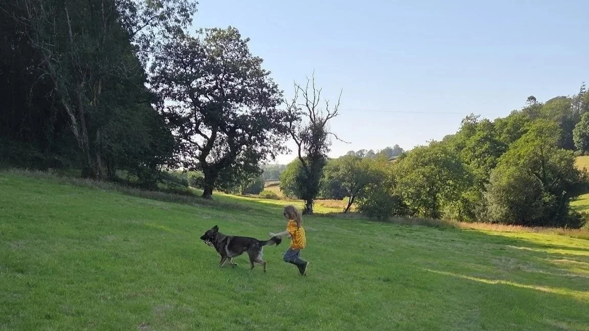 Pet sitting in Wales