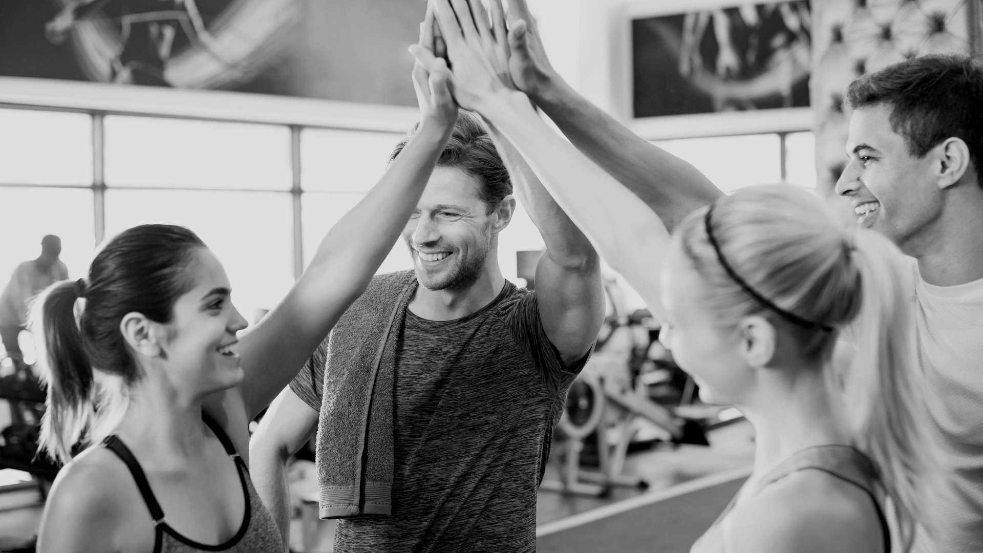 Adult Program — Sigma Martial Arts and Fitness