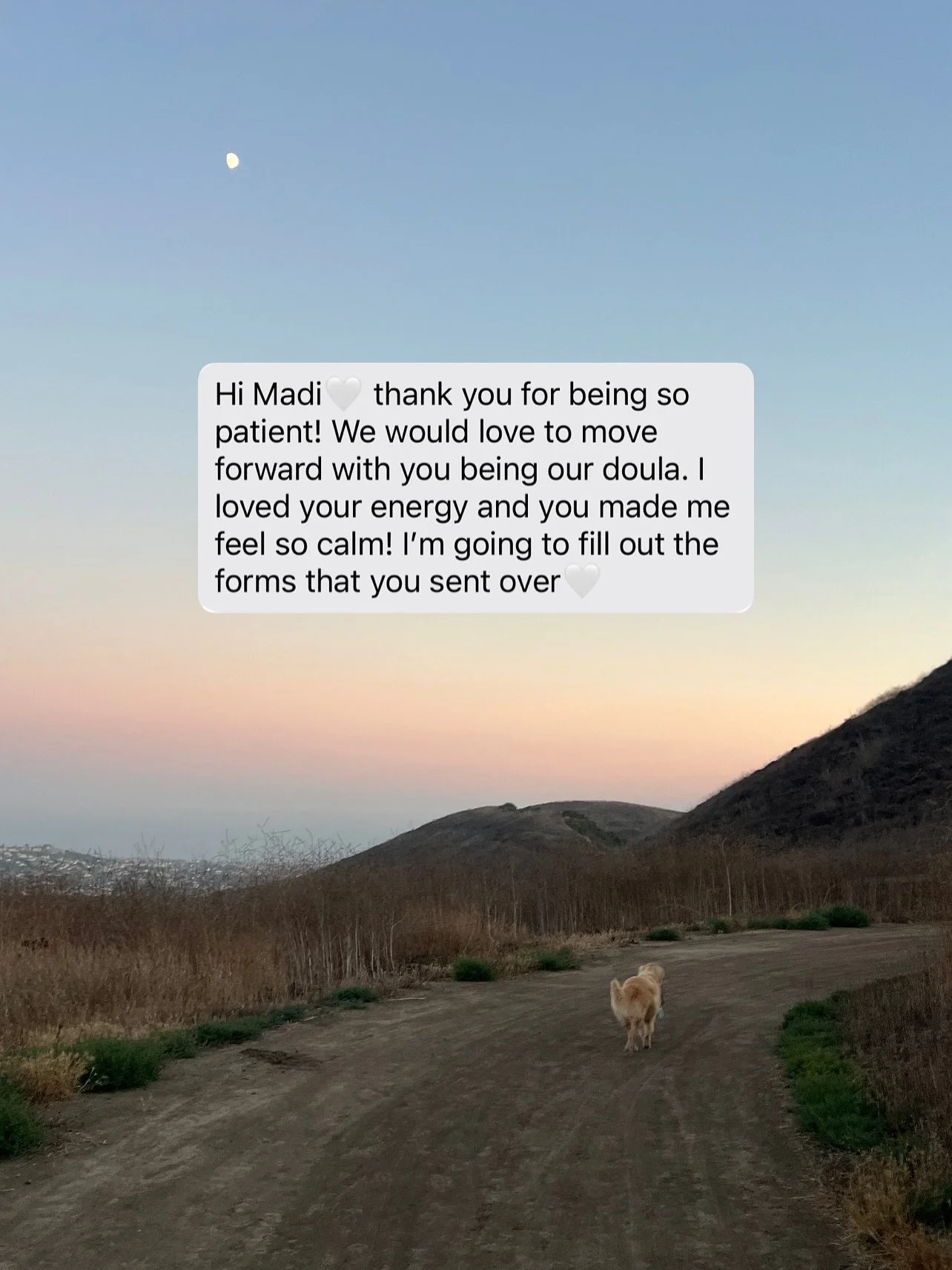 These recent messages are a reminder of how deeply tender and personal birth work is. The trust and connection, even in these early conversations, mean so much.

Being welcomed into a birth space is never something I take for granted.

Grateful today