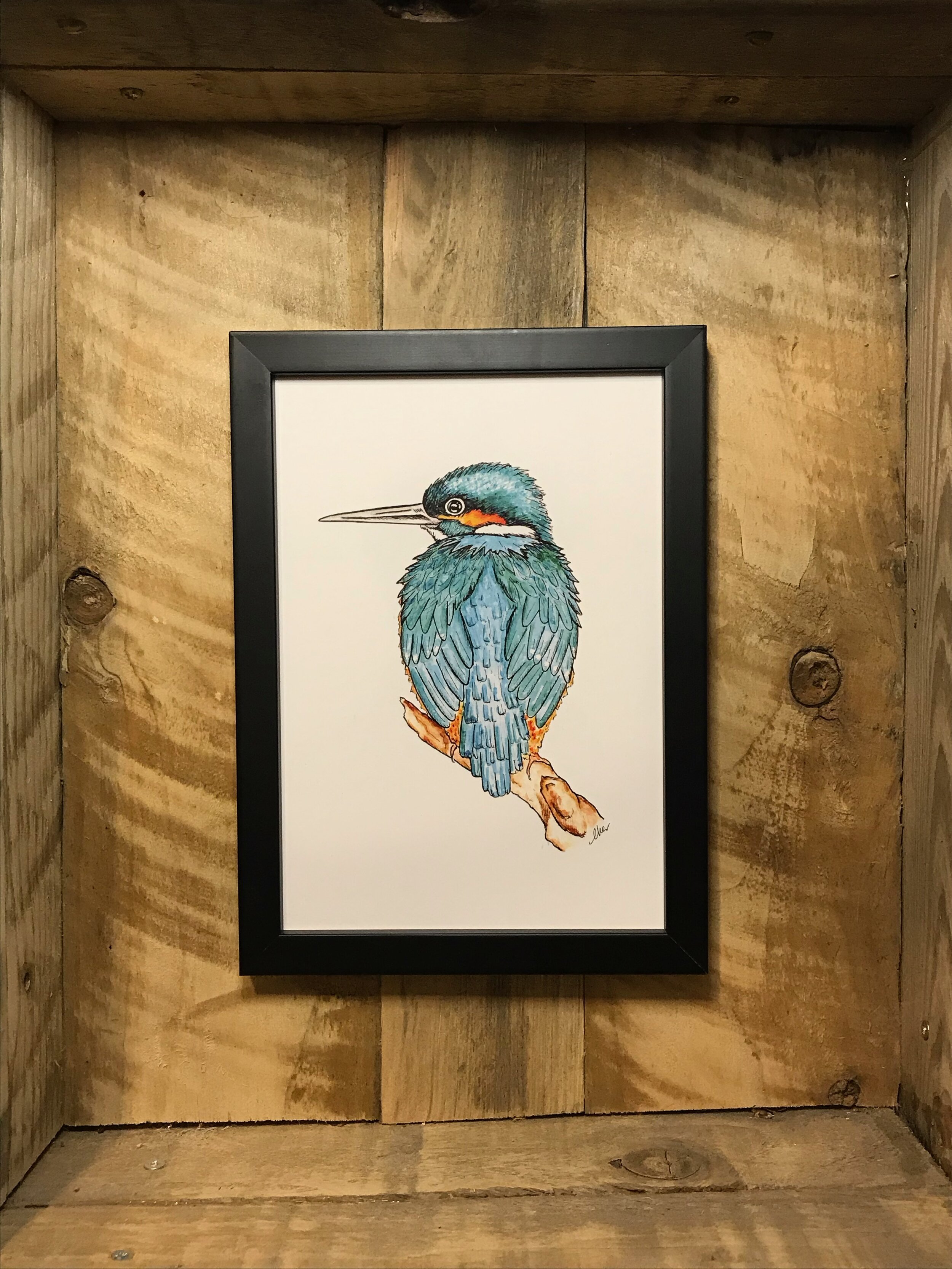 Kingfisher.jpeg