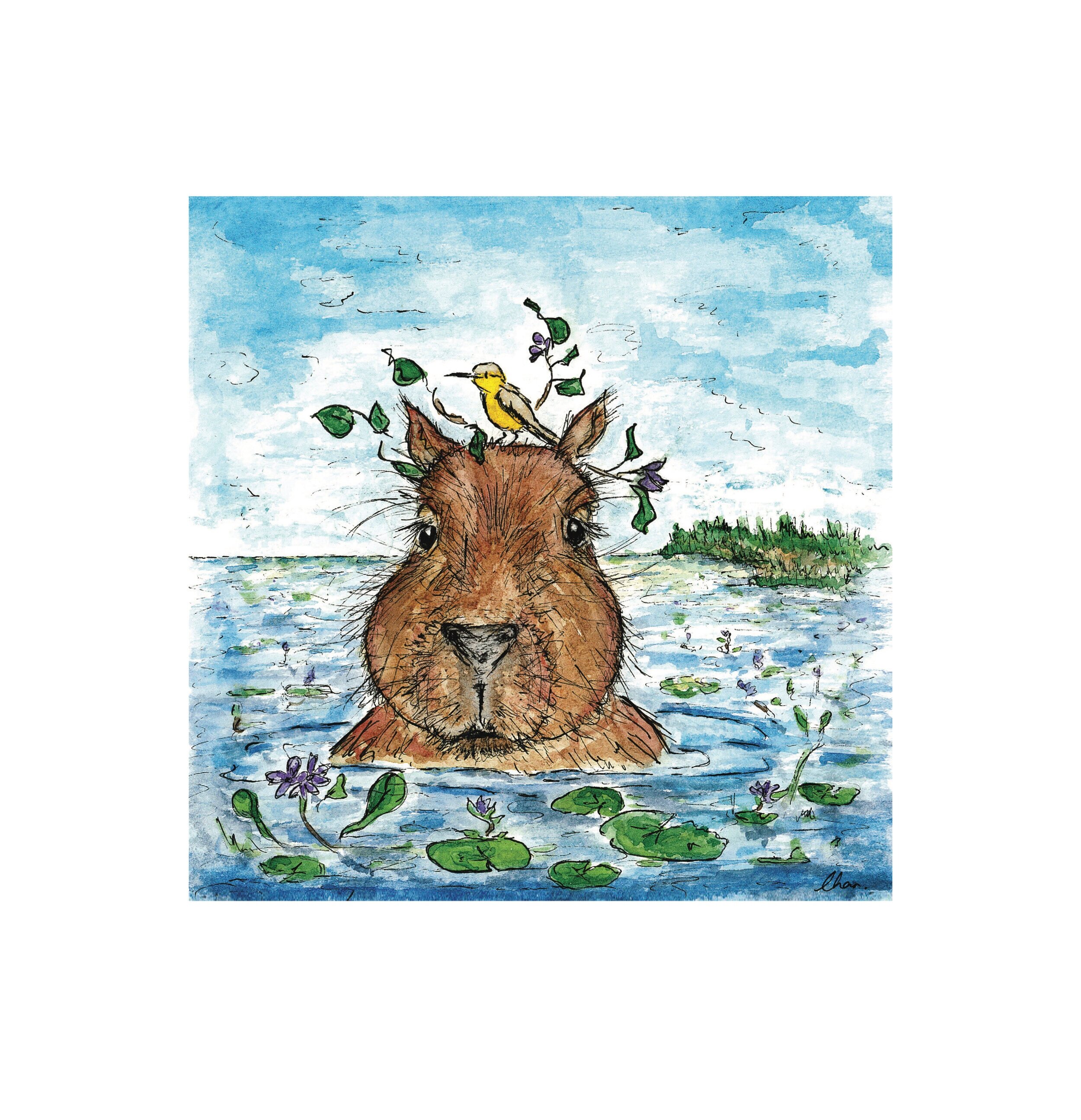 CHARLOTTE+WORKMAN+-+Capybara+jpeg.jpg