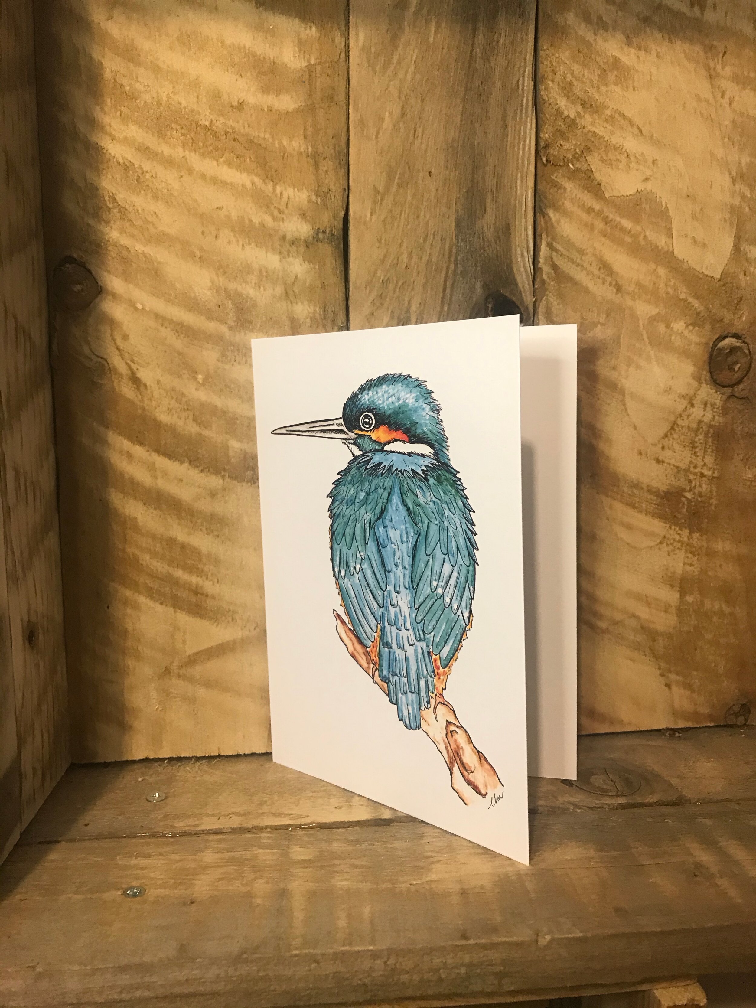 Kingfisher.jpeg