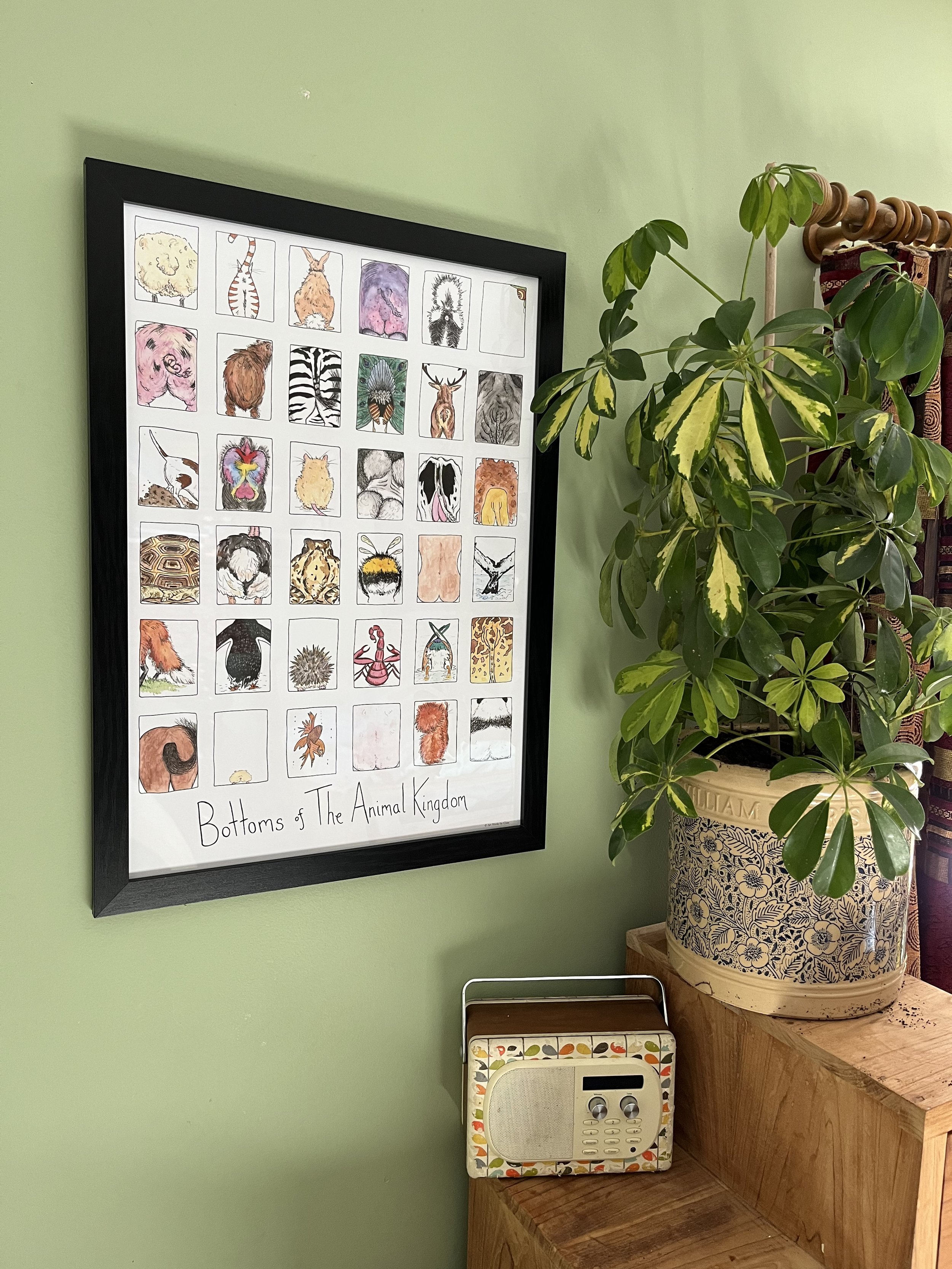 Framed Animal Bottoms illustration