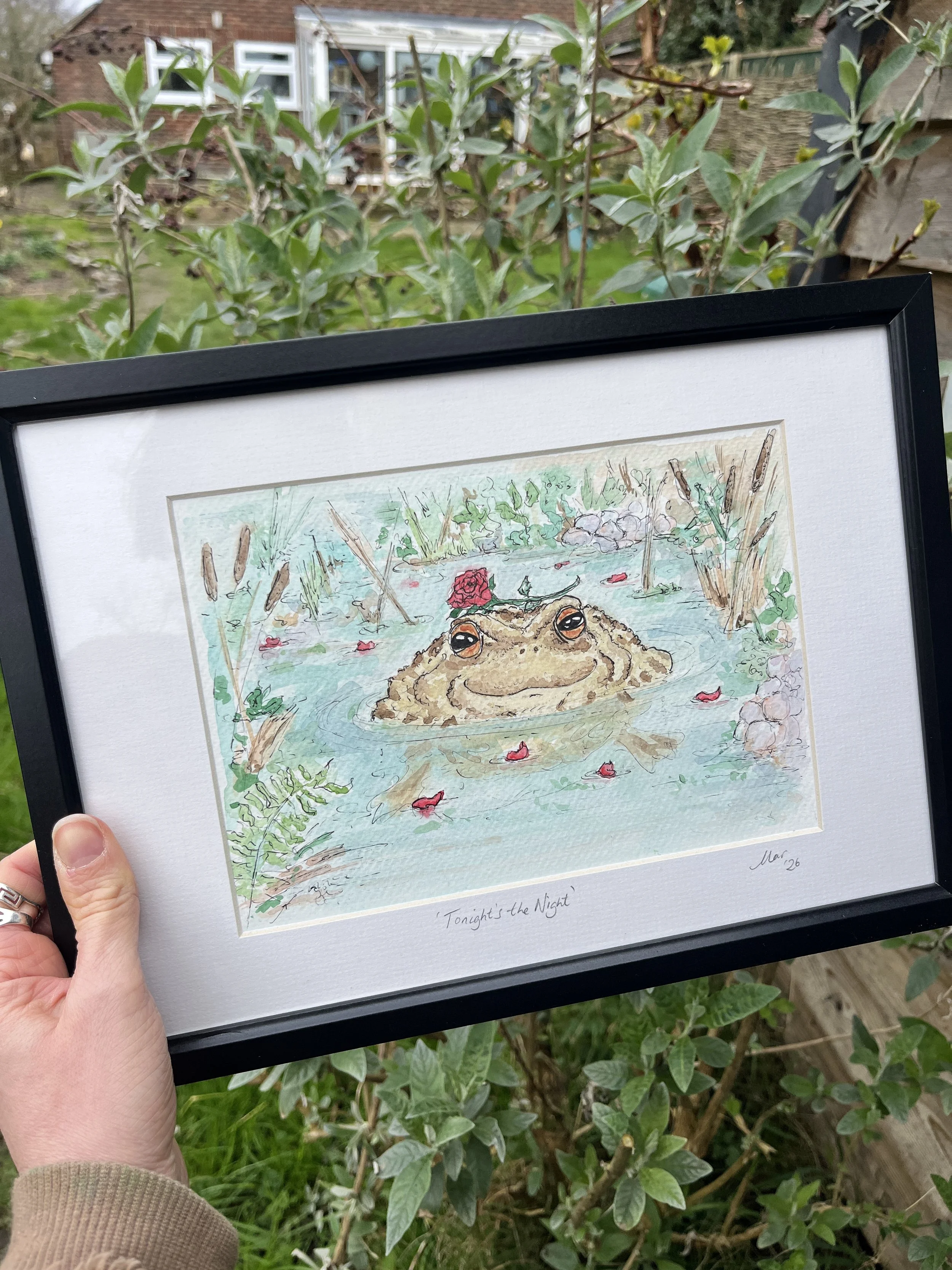 Original illustration depicting a toad basking in a pond awaiting a mate, complete with rose petals.