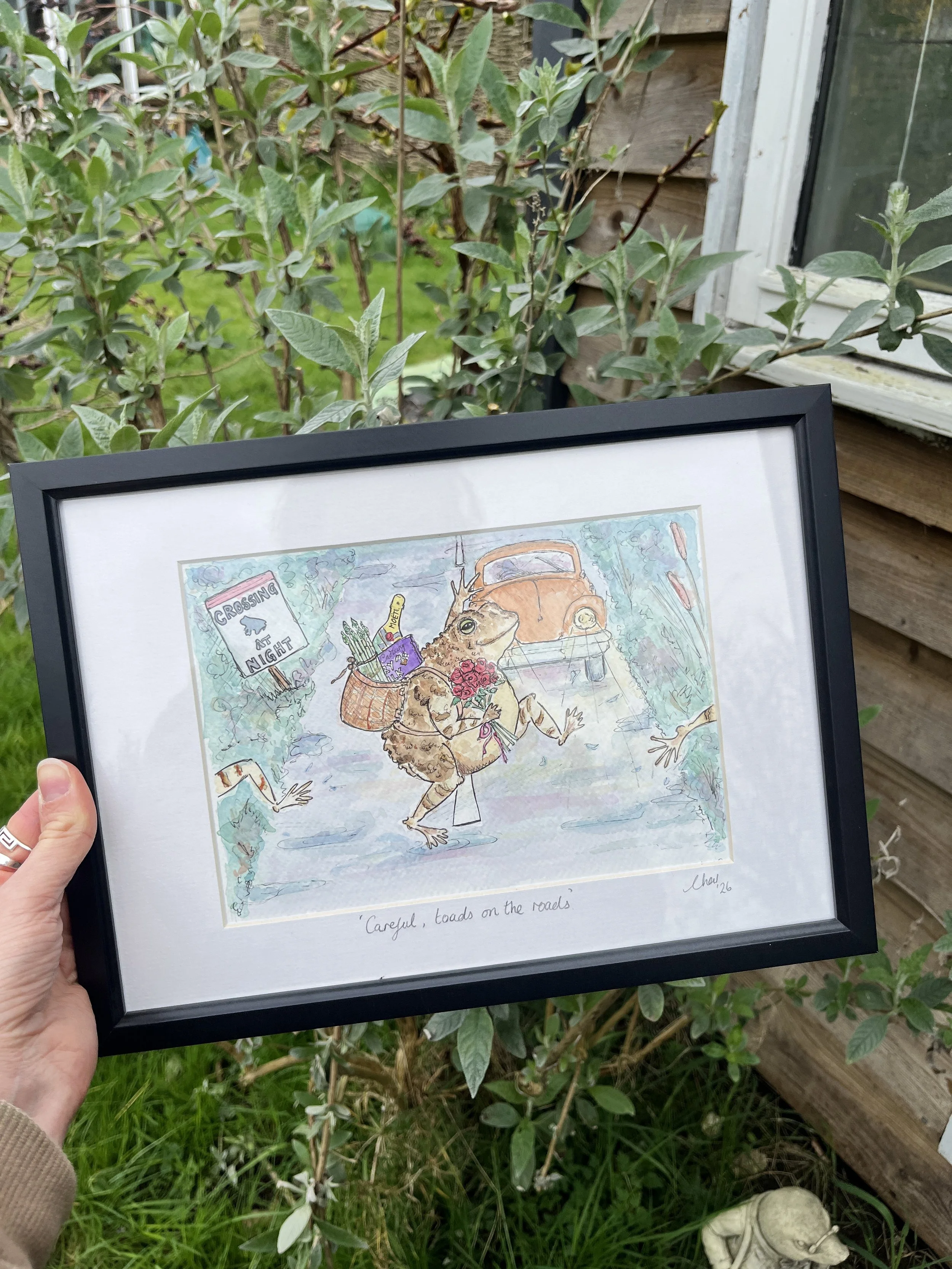 Original toad illustration in pen and watercolour imagining a toad crossing a road to find a mate complete with aphrodisiacs.