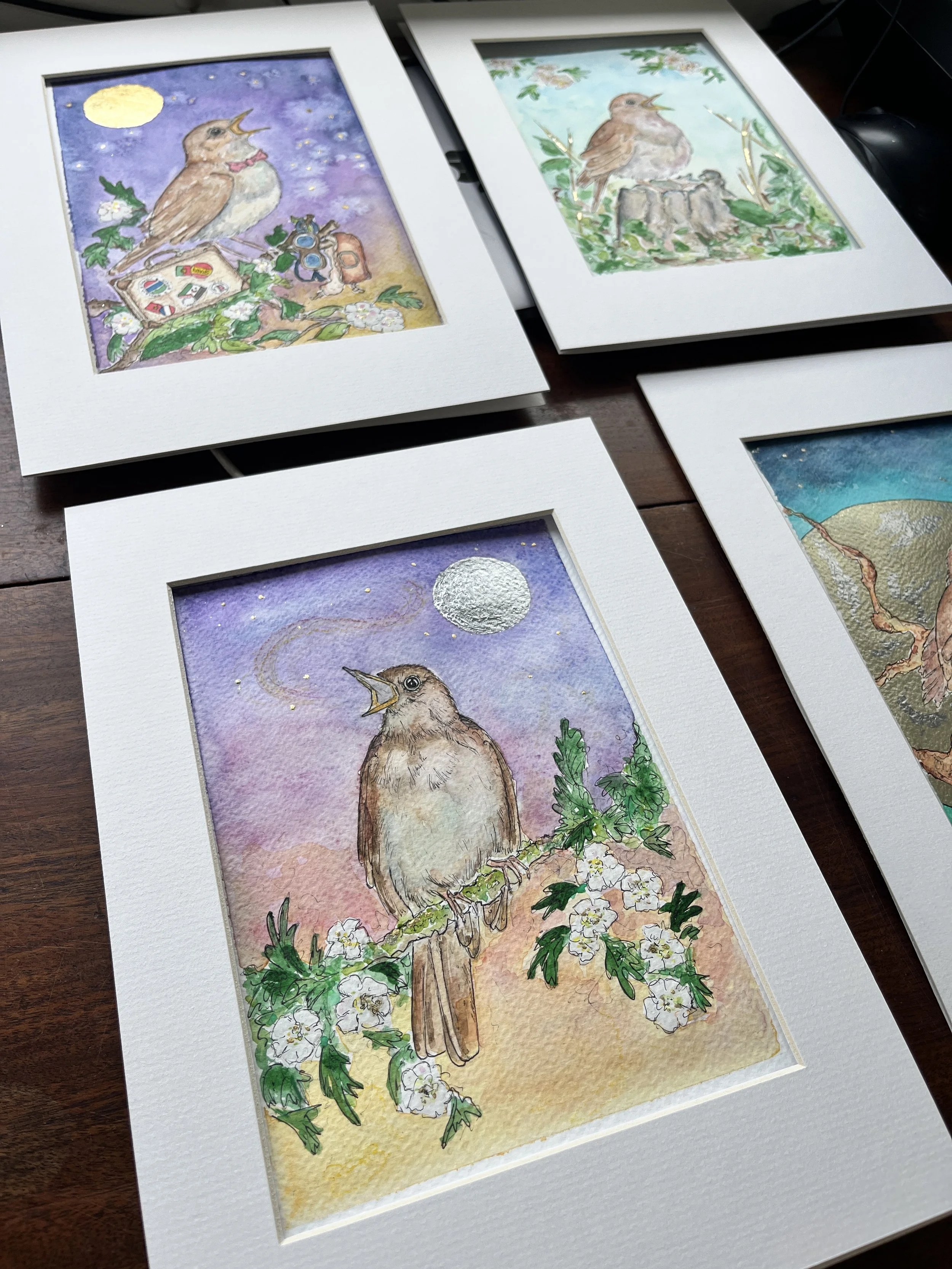 Series of original Nightingale illustrations