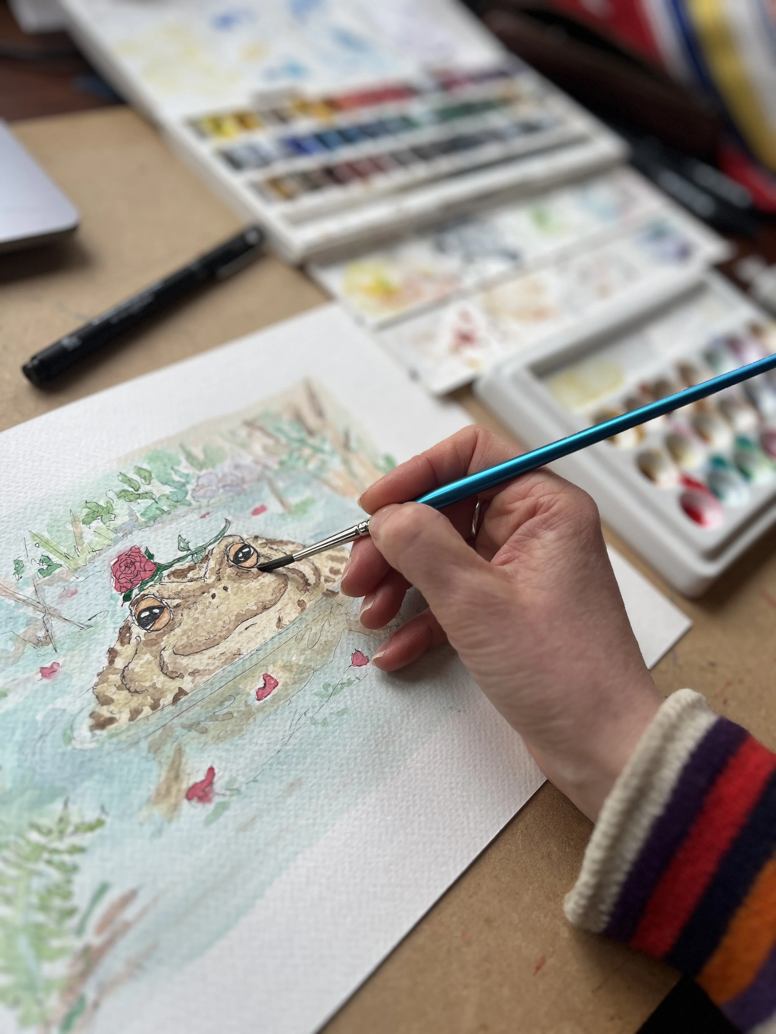 Work in progress of humorous pen and watercolour illustration of a toad in origin mating pond.