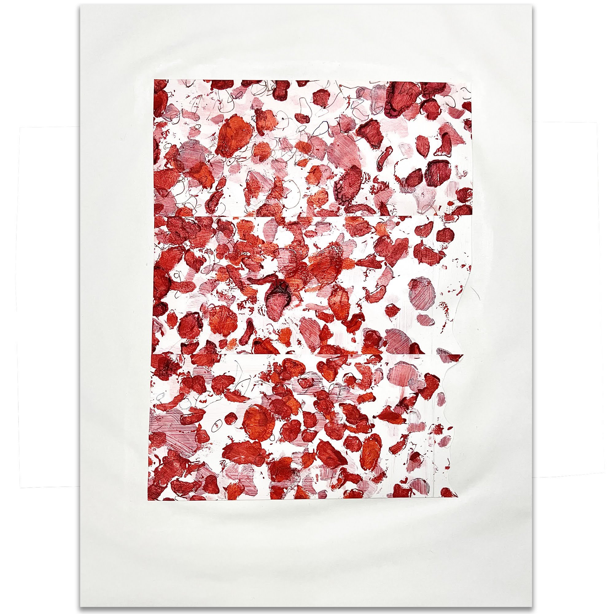 Ditalia Petals 02.jpg